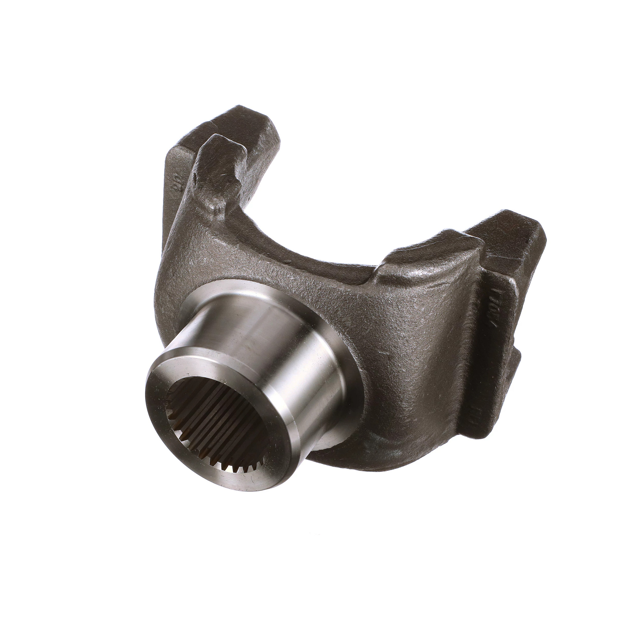 Garfo | CASECE | BR | PT