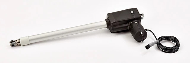 Jack | CASECE | US | EN