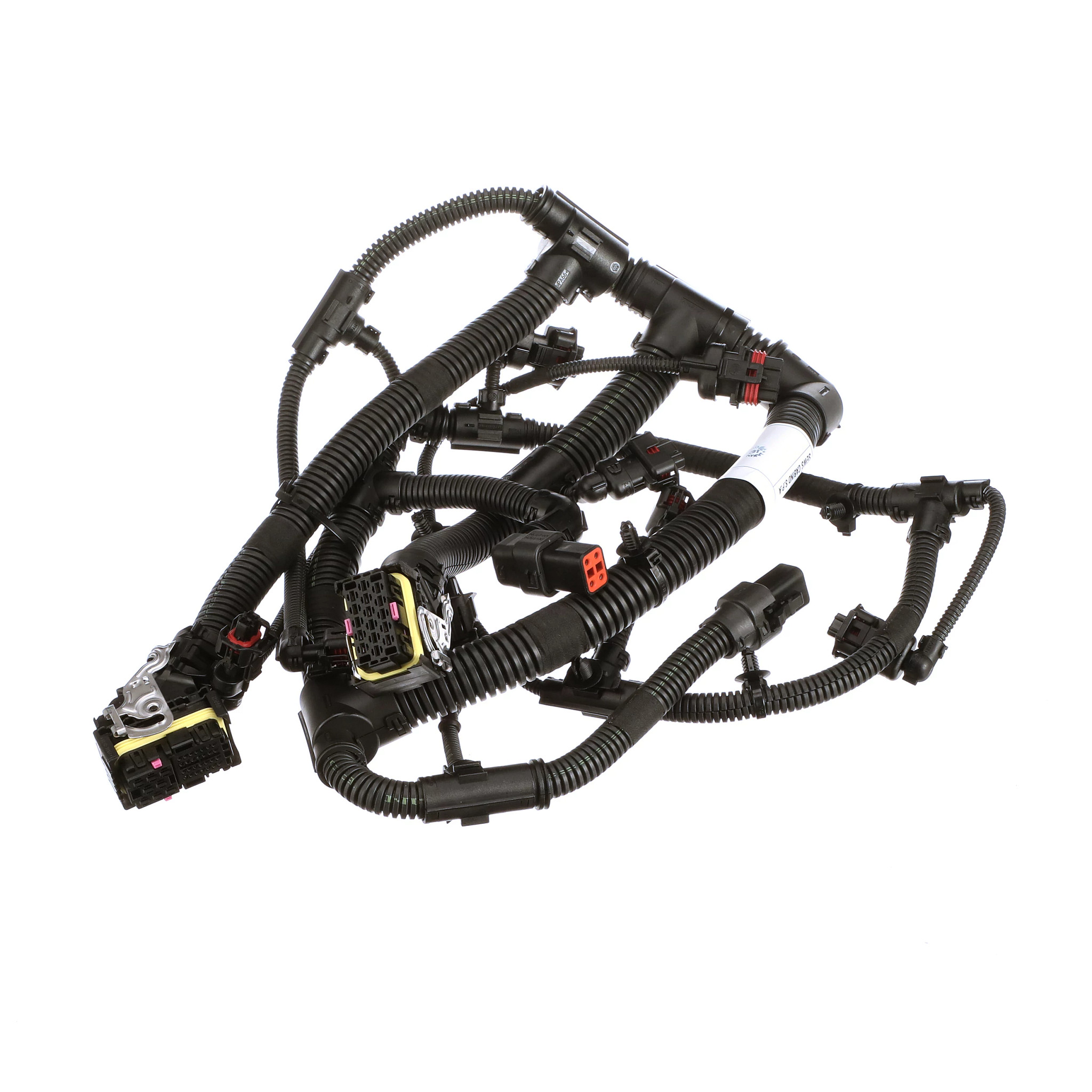 Chicote de fios do motor | CASECE | BR | PT