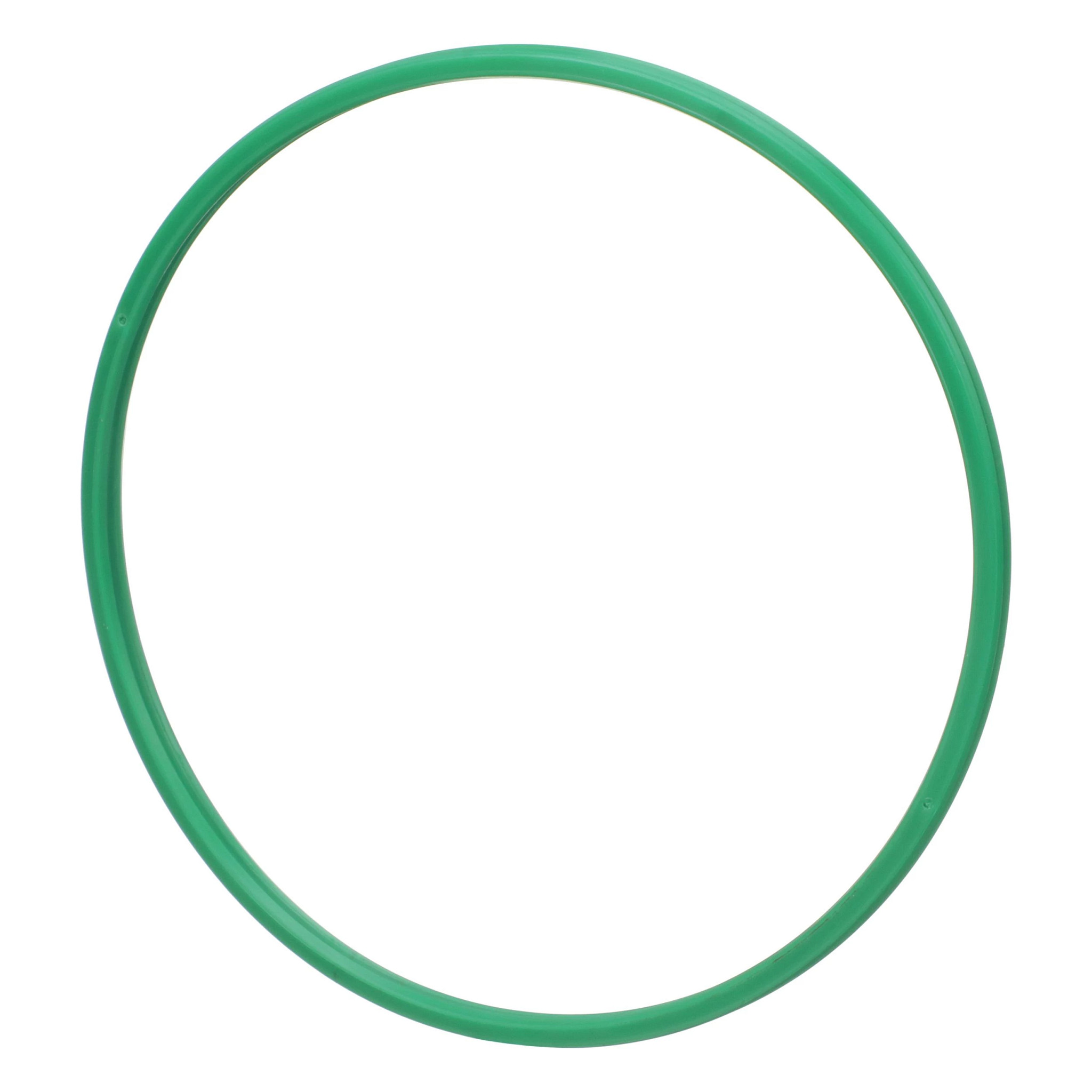 BACK-UP RING | CASECE | CA | EN