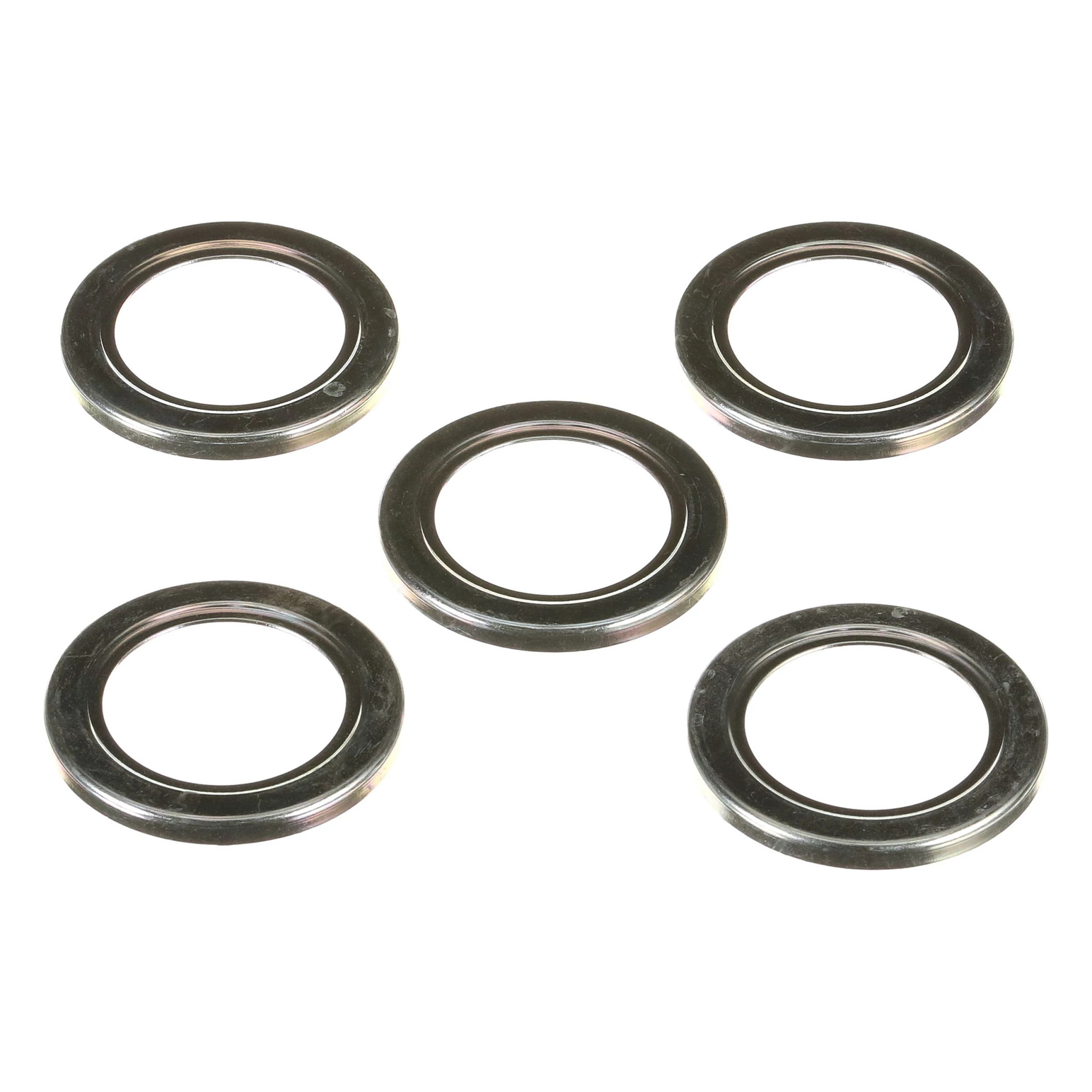 DICHTINGSBESCHERMING | CASEIH | EU | NL