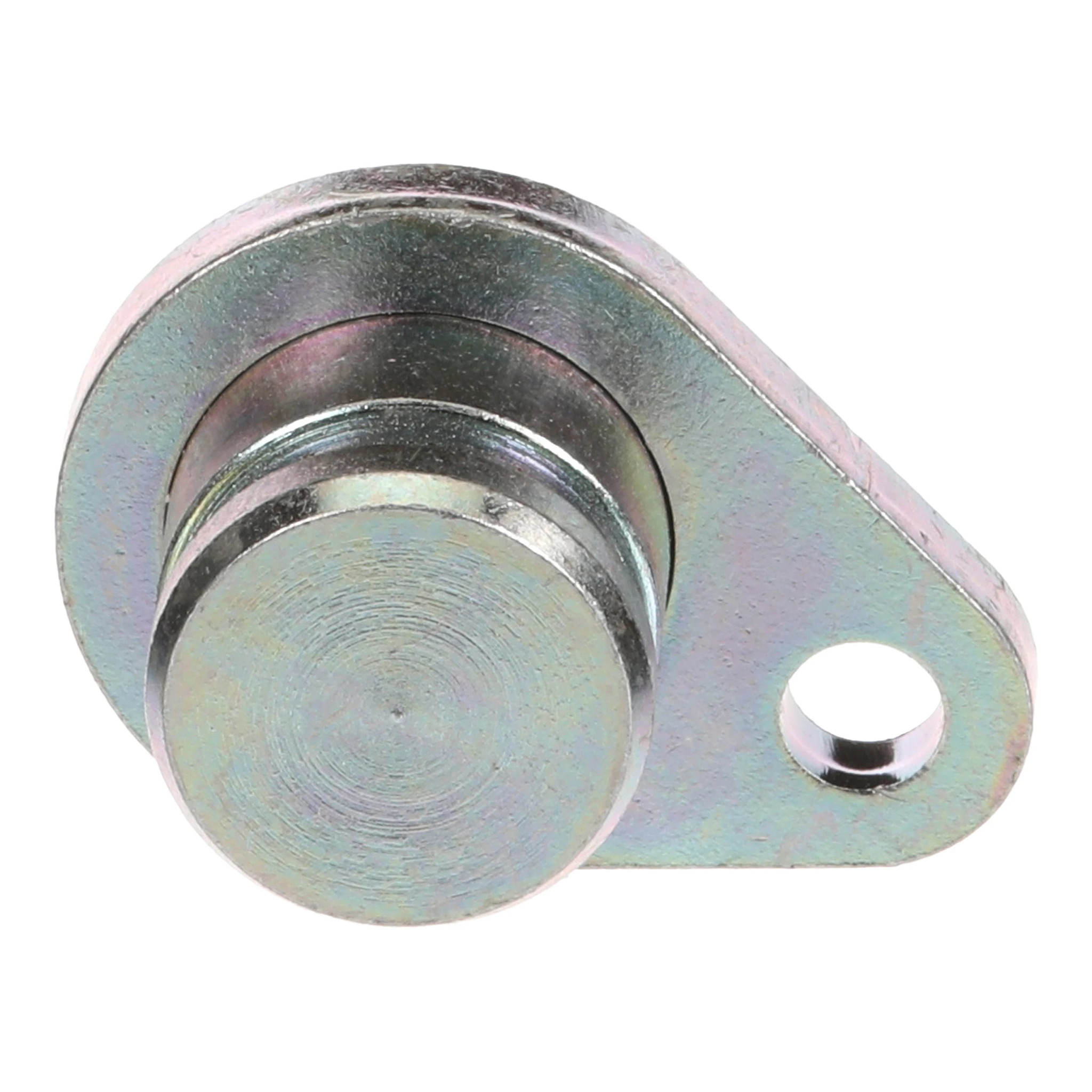 PLUG | CASECE | AMEA | EN