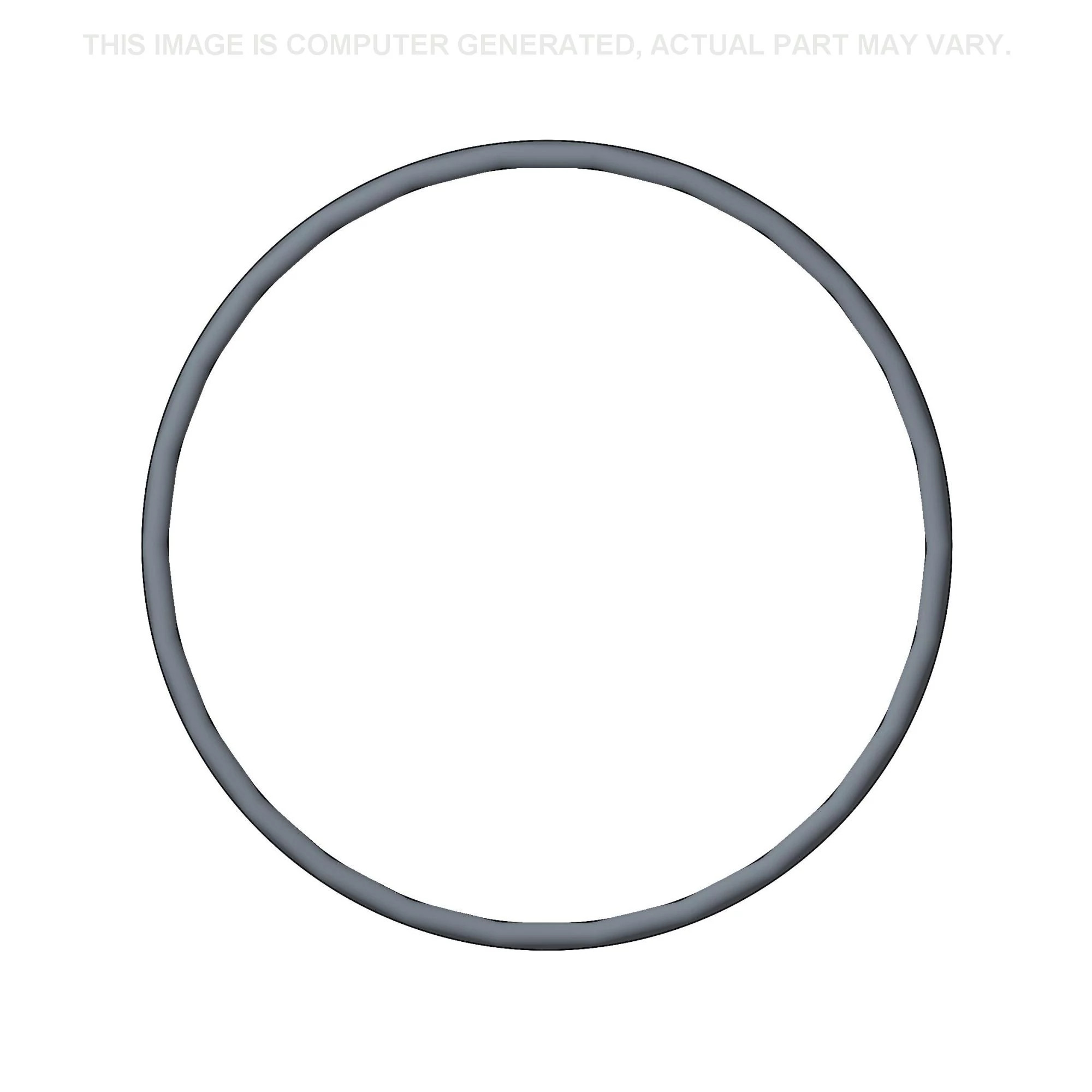 O-RING | CASEIH | AMEA | EN