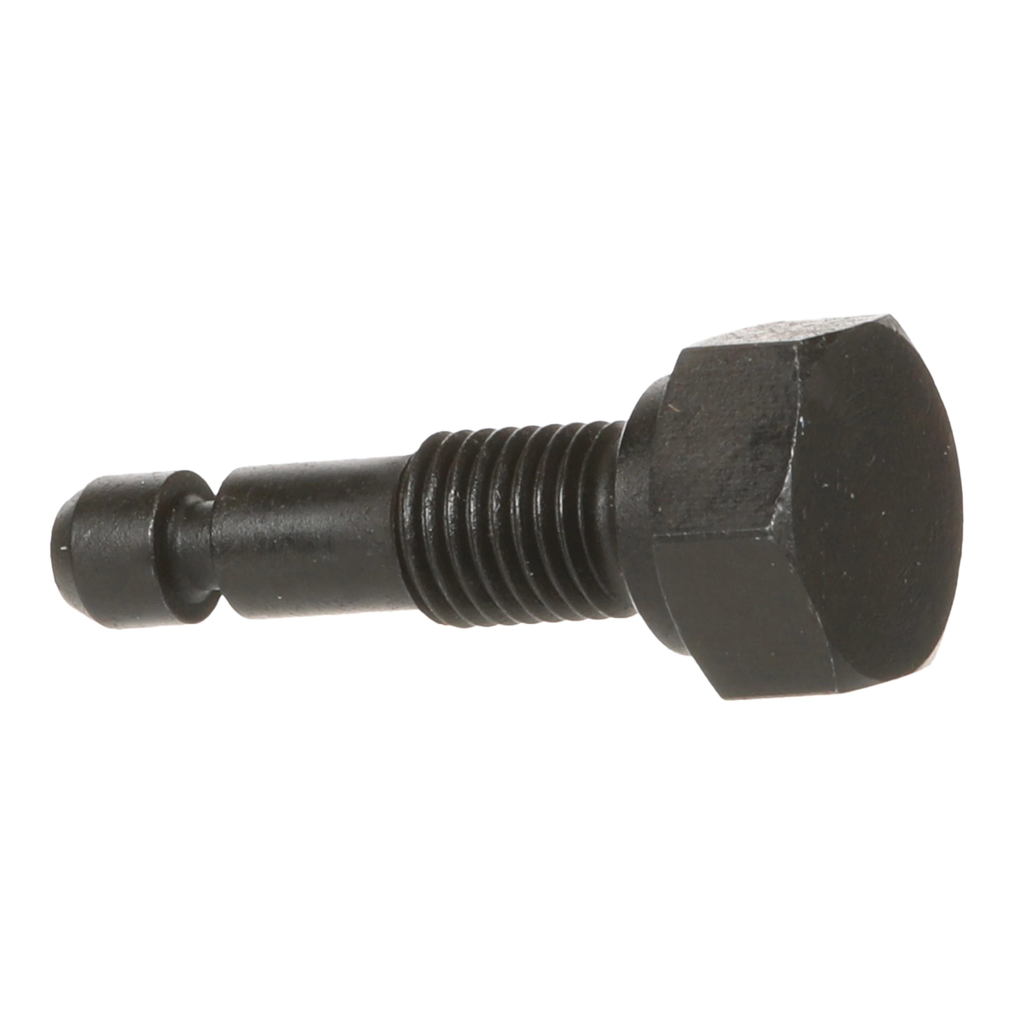 Hex Bolt | CASECE | US | EN