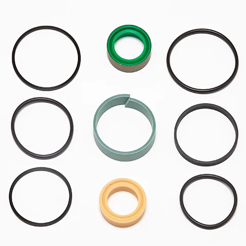 KIT DE JOINTS | CASEIH | CA | EN