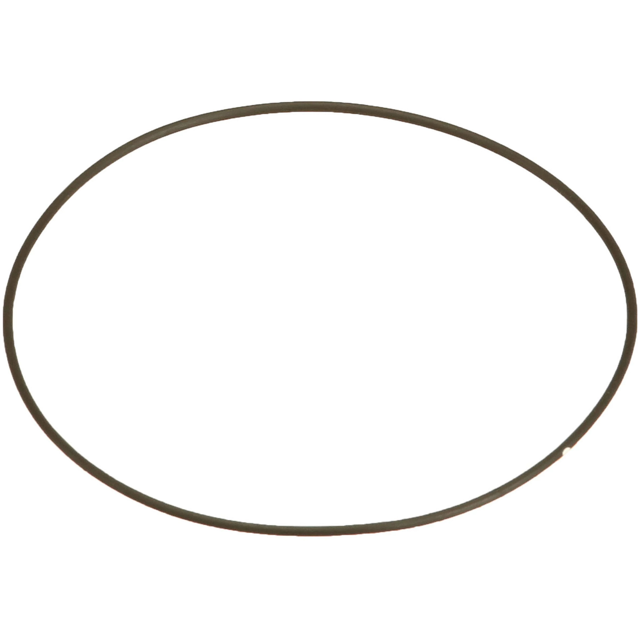 O-RING | CASEIH | CA | EN