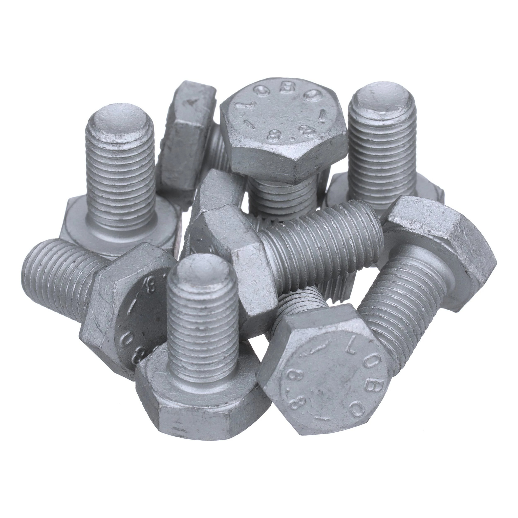 BOLT | CASECE | SA | EN