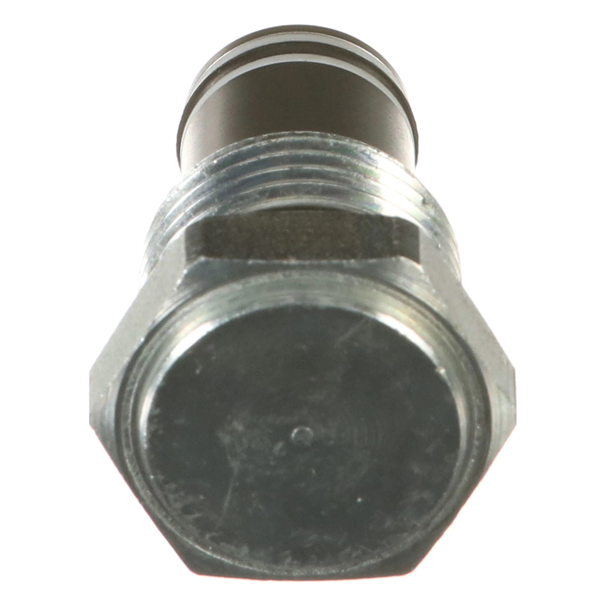 PLUG | CASECE | US | EN