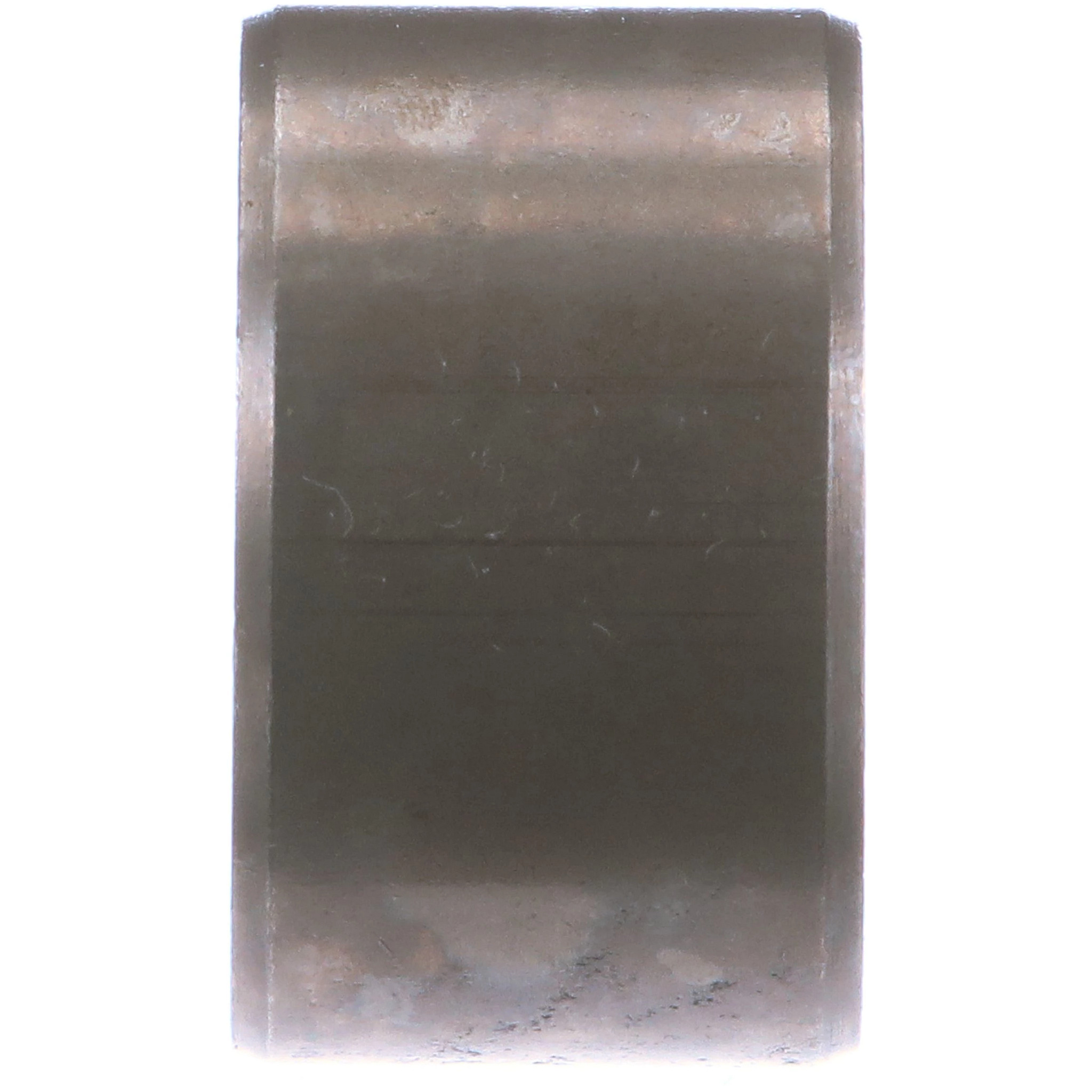 BUCHSE | NEWHOLLANDAG | DE | DE