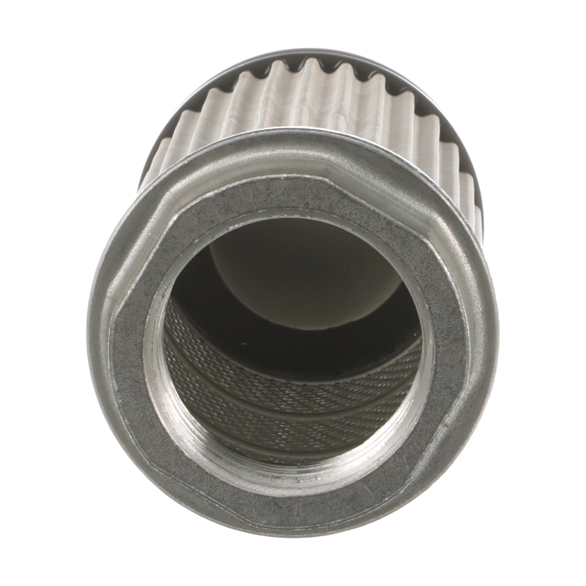 FILTER STRAINER | STEYR | AMEA | EN