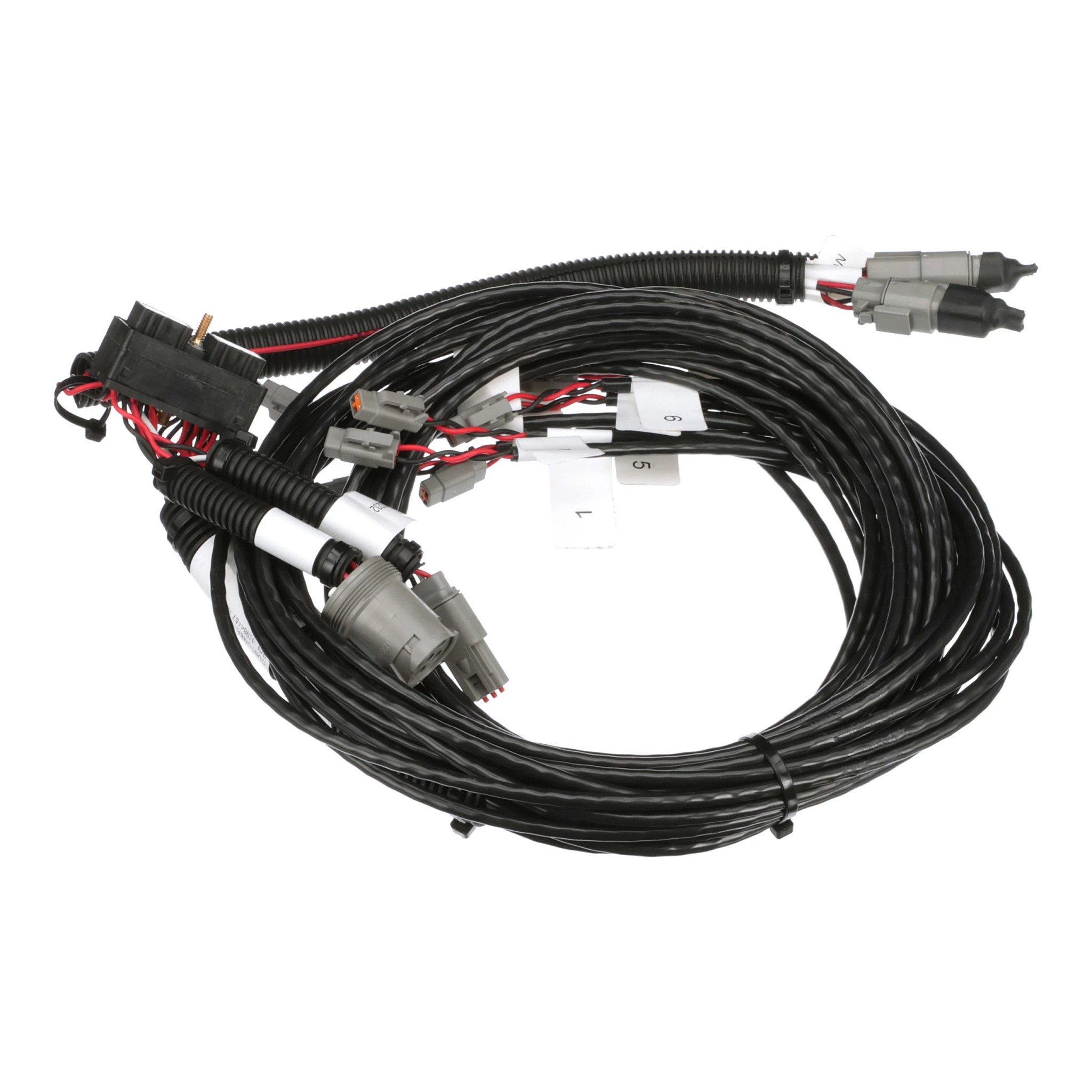 HARNESS | CASECE | EU | EN