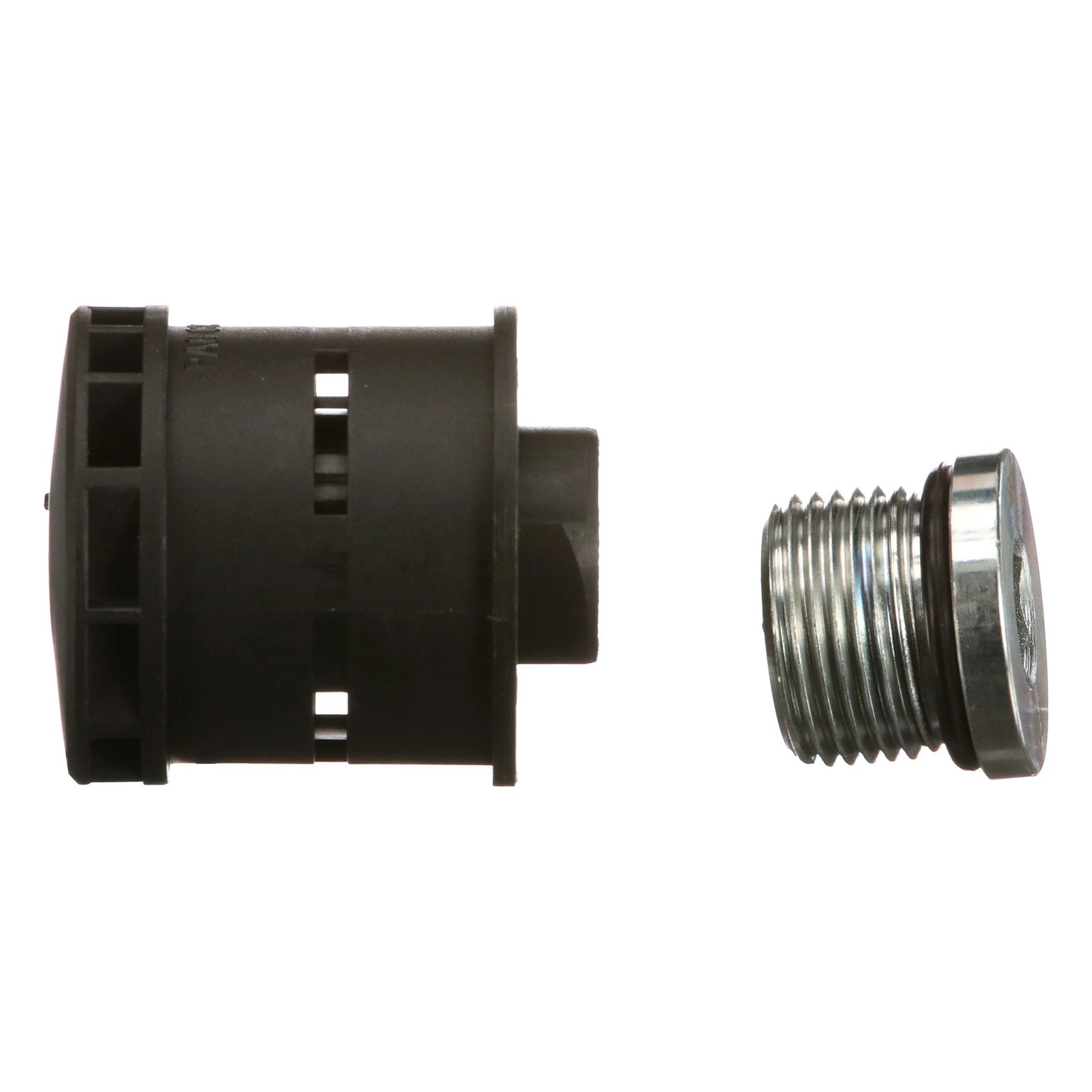 FIP KIT | CASECE | CA | EN