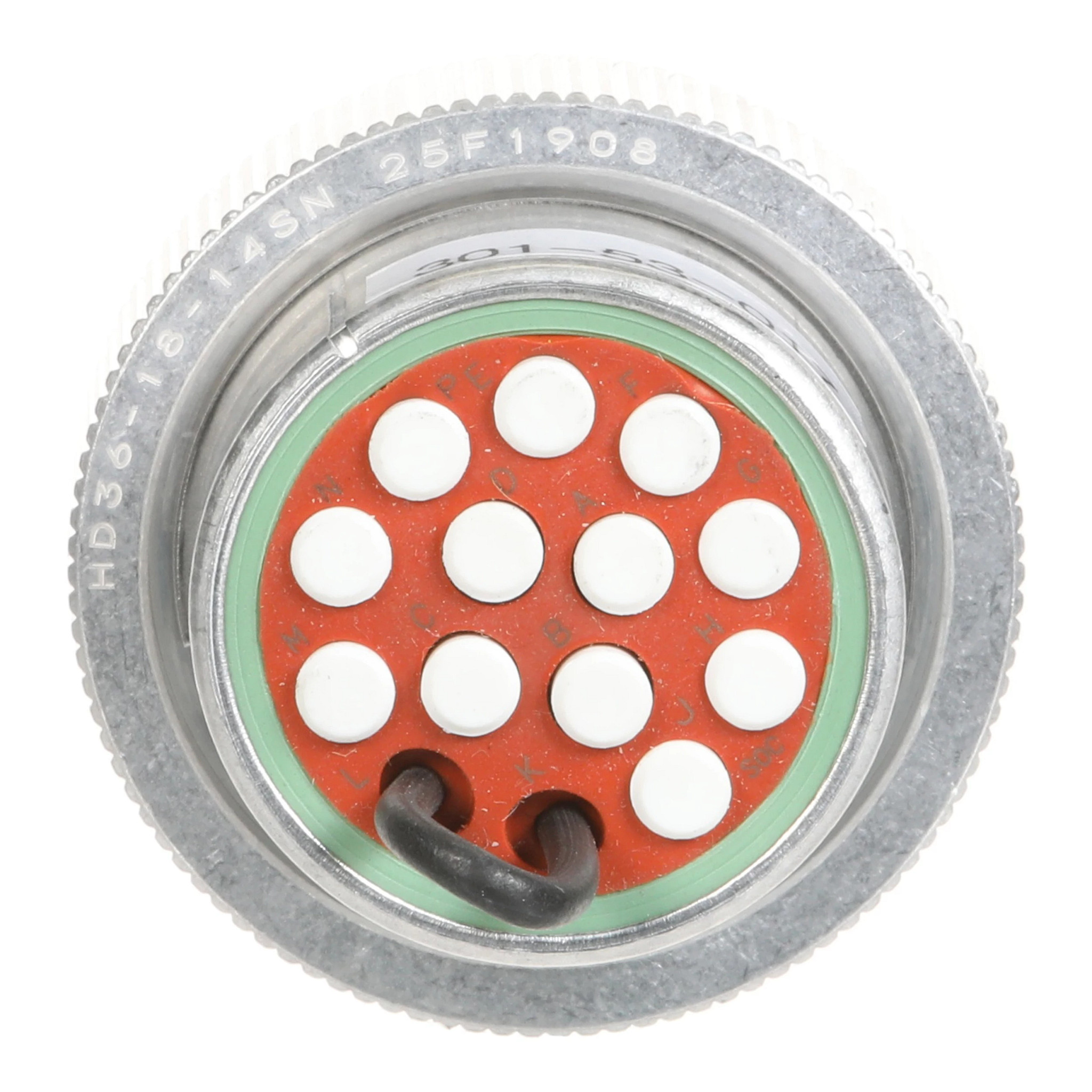 PLUG | CASECE | CA | EN