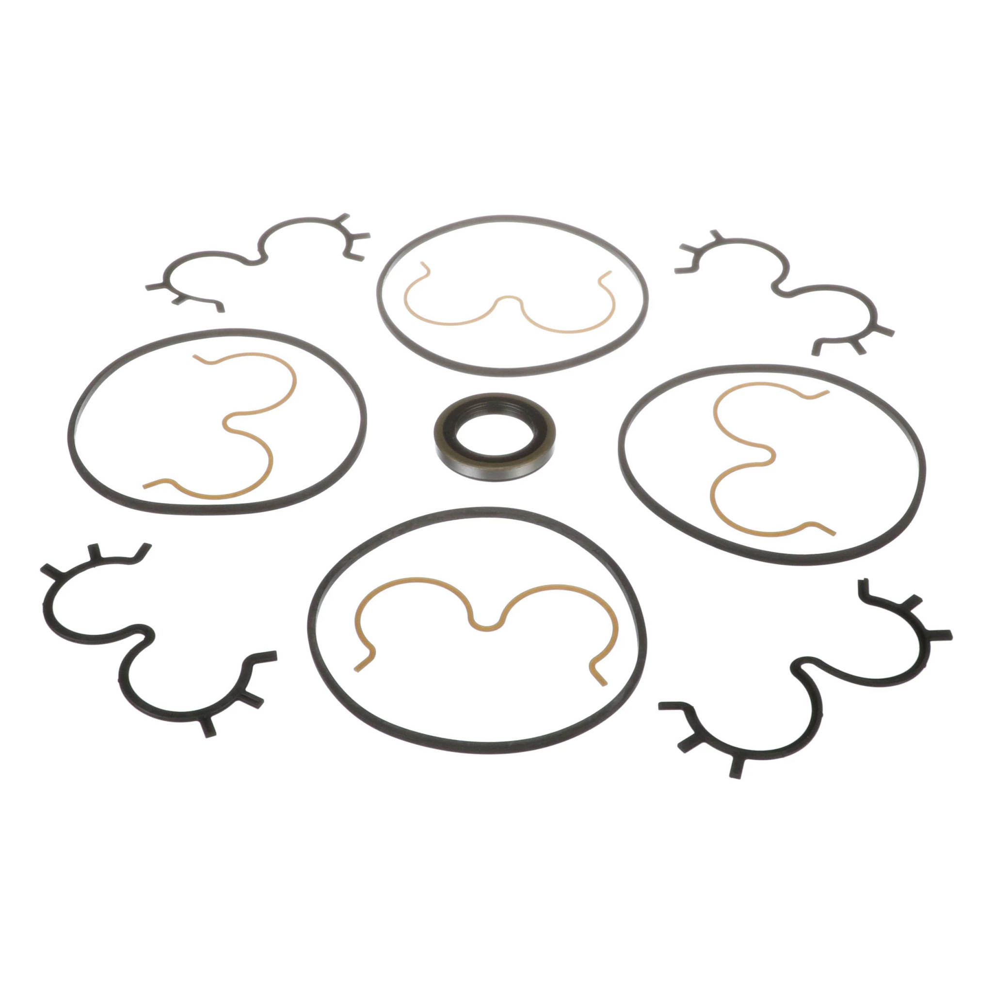 SEAL KIT | CASEIH | IE | EN