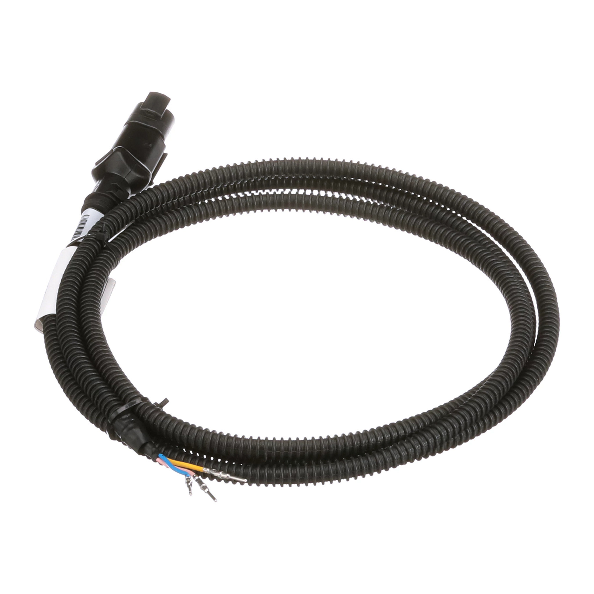 CHICOTE | CASECE | EU | NL