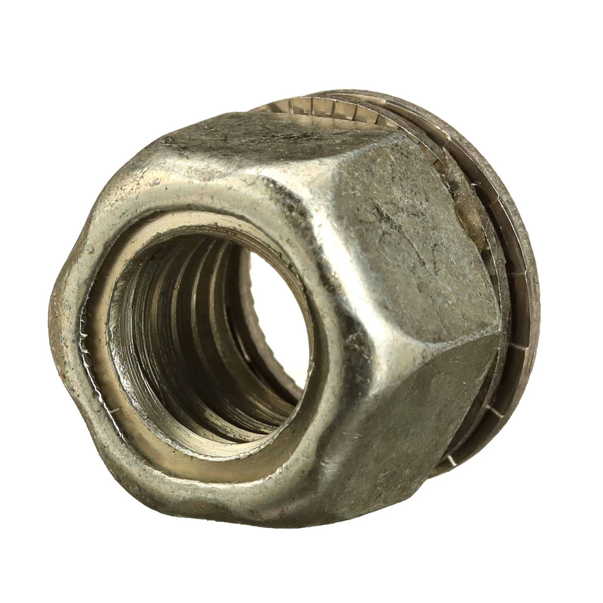 PORCA | CASEIH | BR | PT