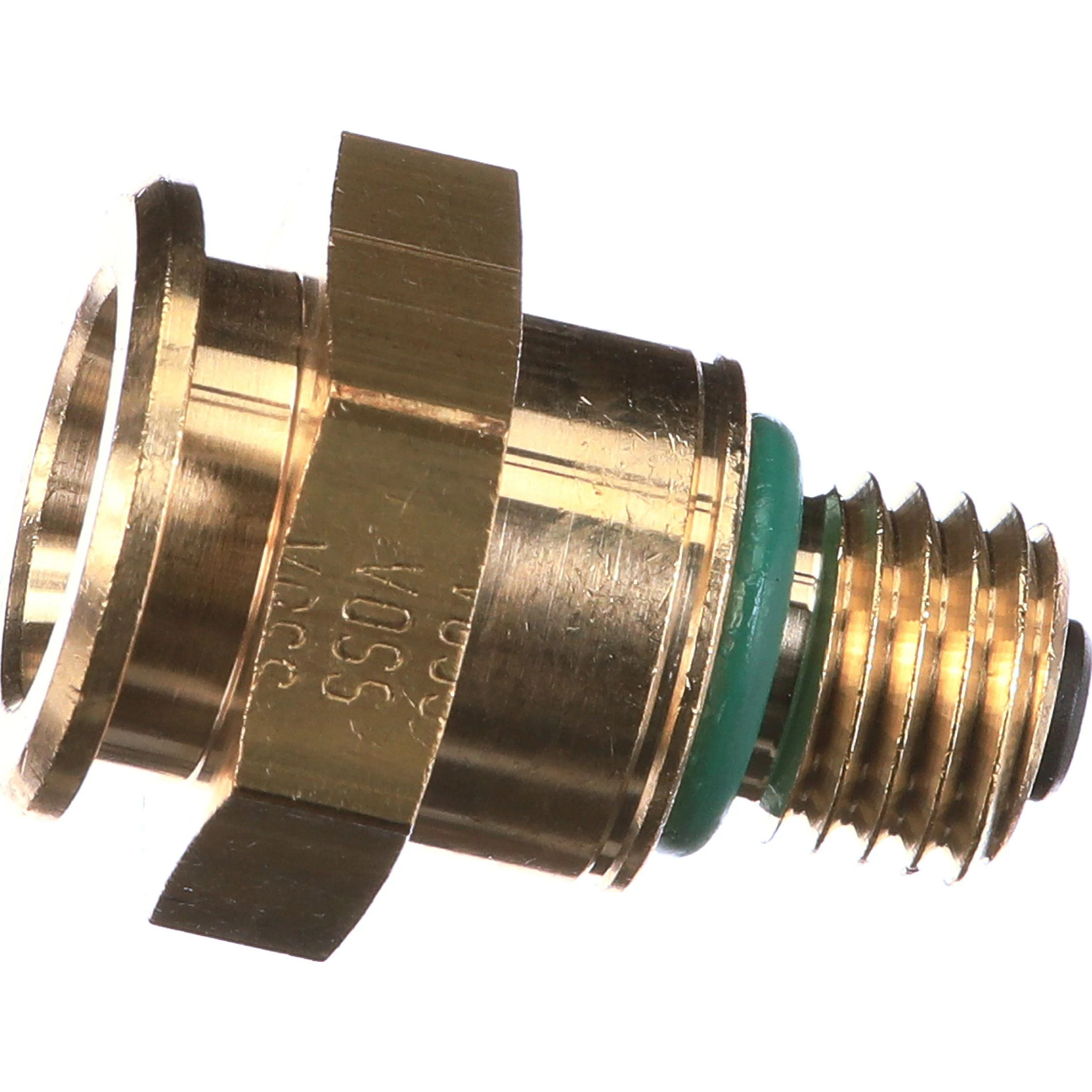 FITTING | CASECE | AMEA | EN