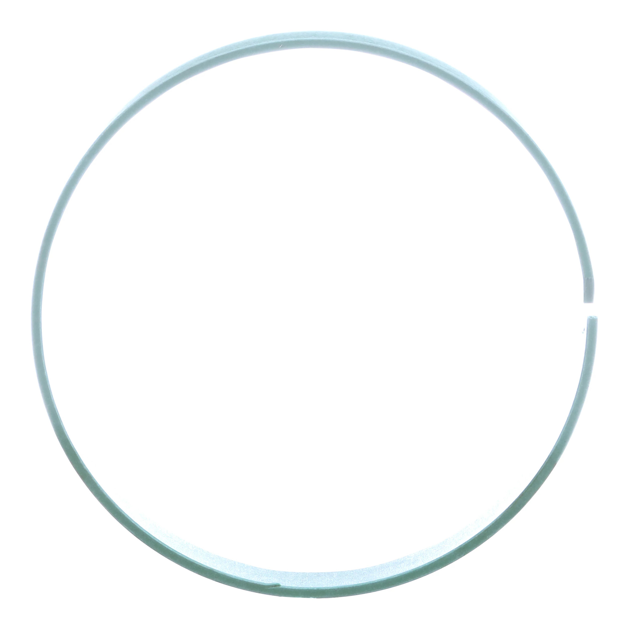 PIERSCIEN USZCZELN | CASEIH | EU | IT