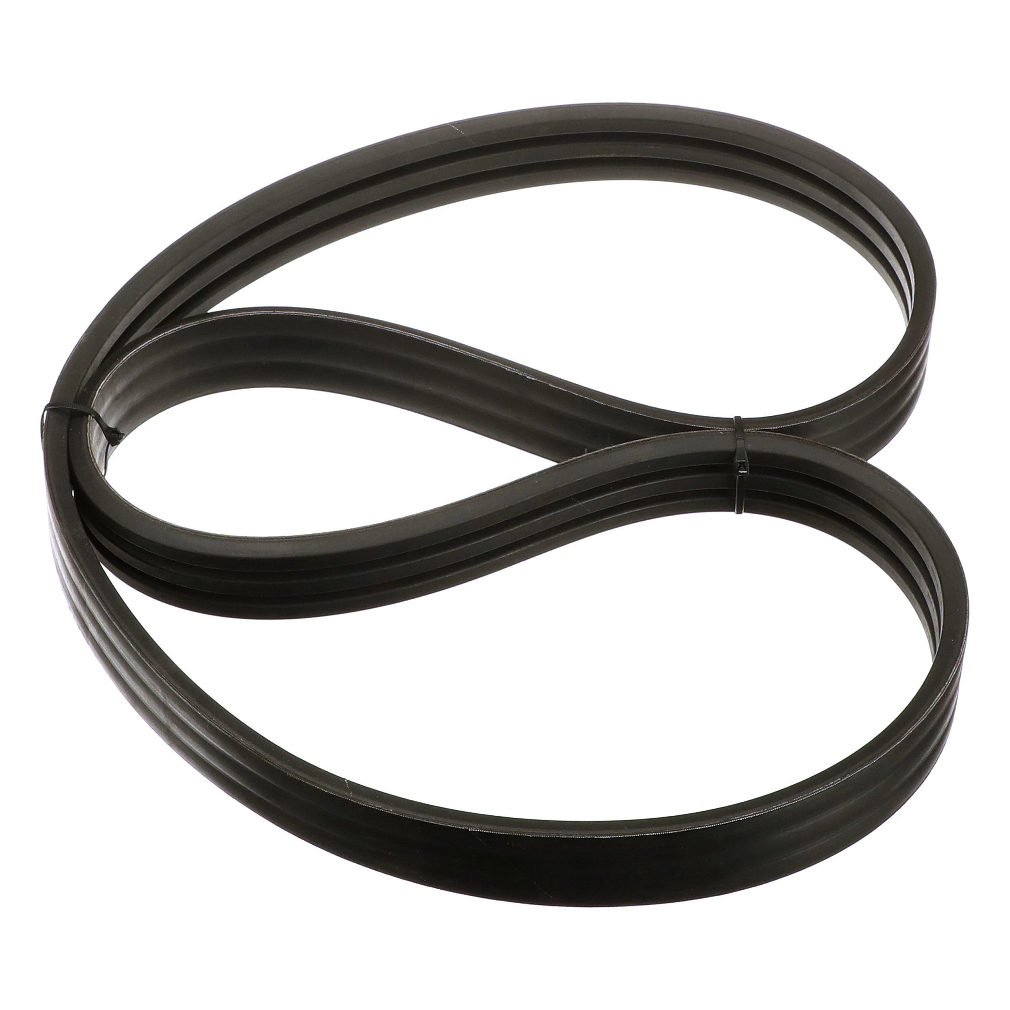 BELT | CASECE | US | EN