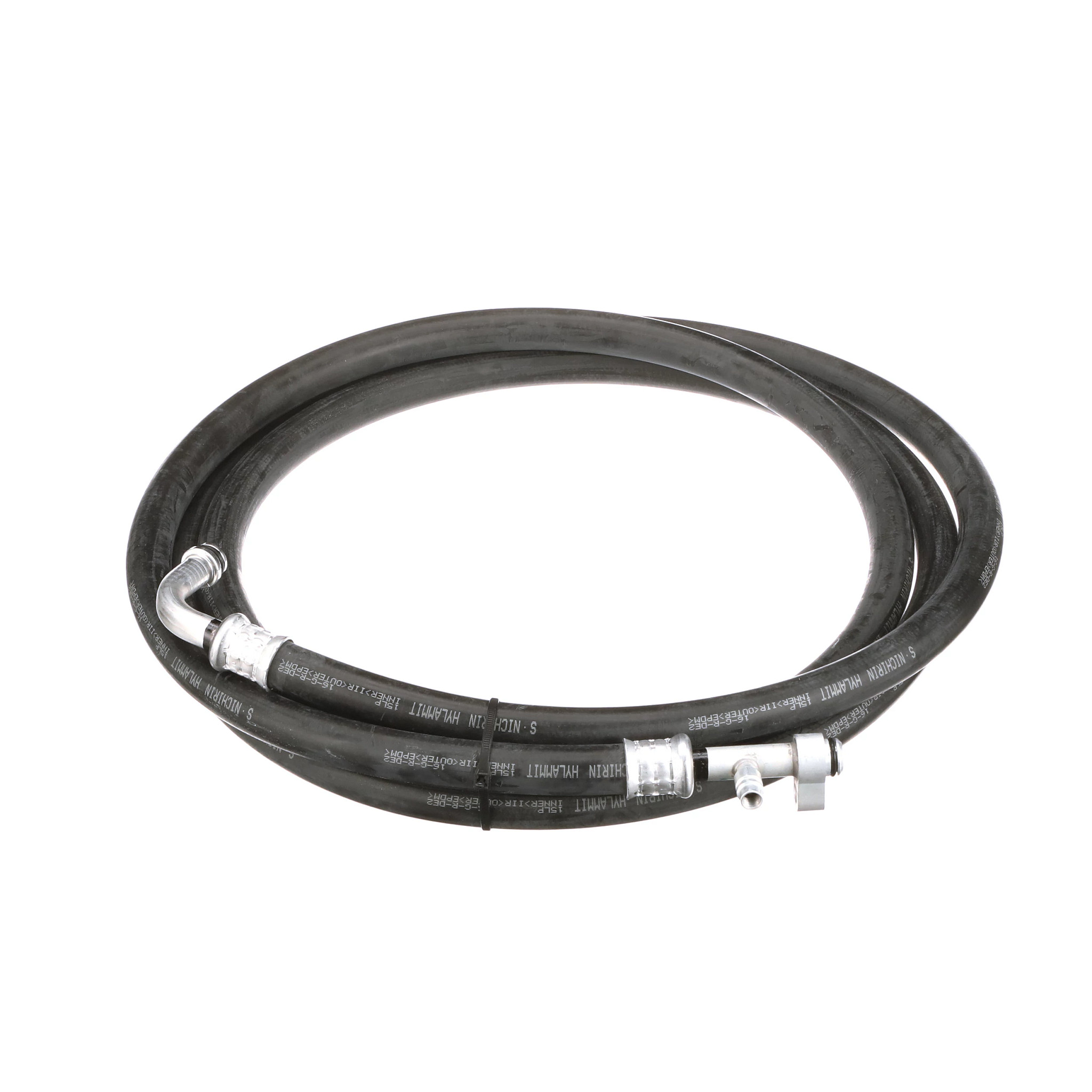 MANGUEIRA | CASECE | BR | PT