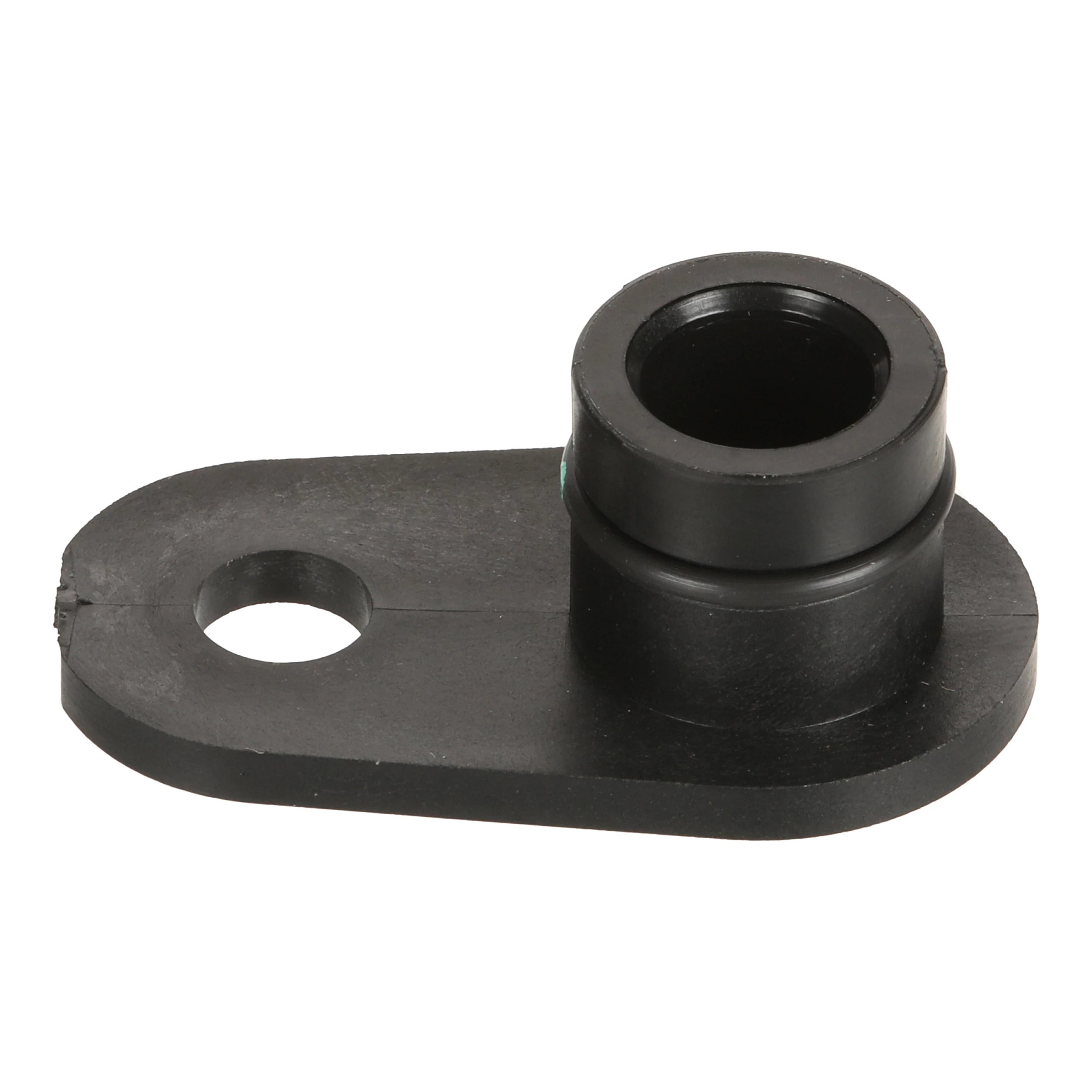 BUJÃO | CASECE | SA | EN