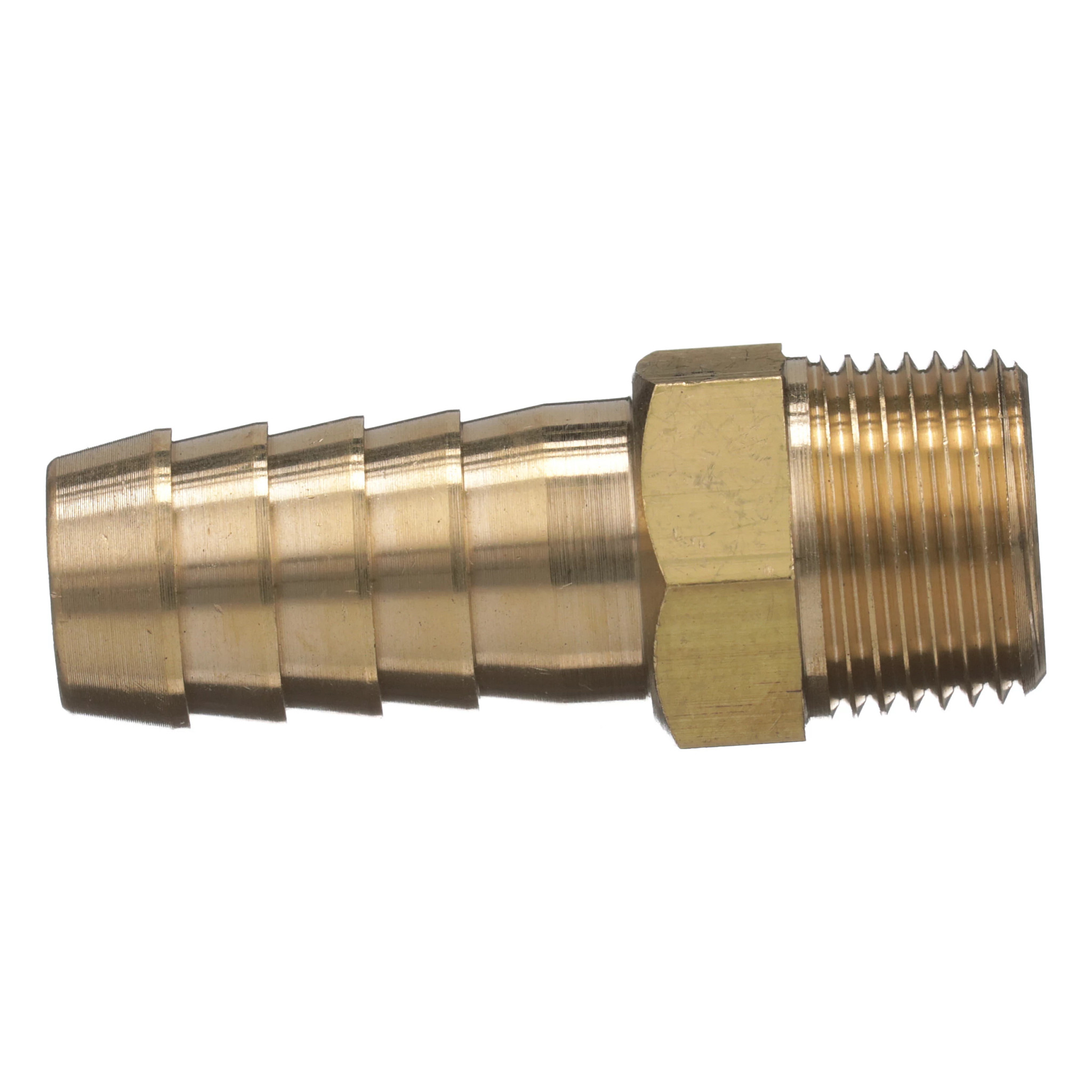 NIPPLE | CASECE | CA | EN