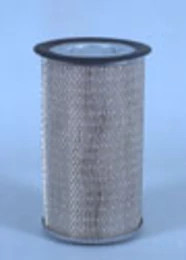 Fleetguard Primary Air Filter | CASECE | US | EN