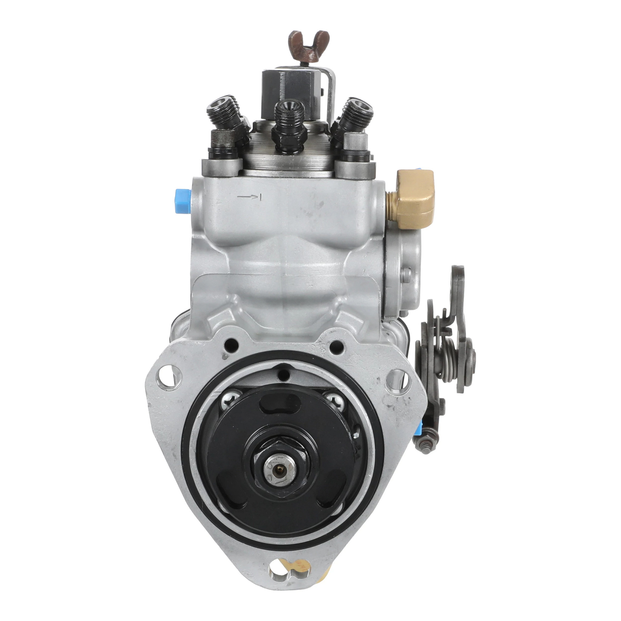 REMAN-FUEL INJ PUMP | CASEIH | US | EN
