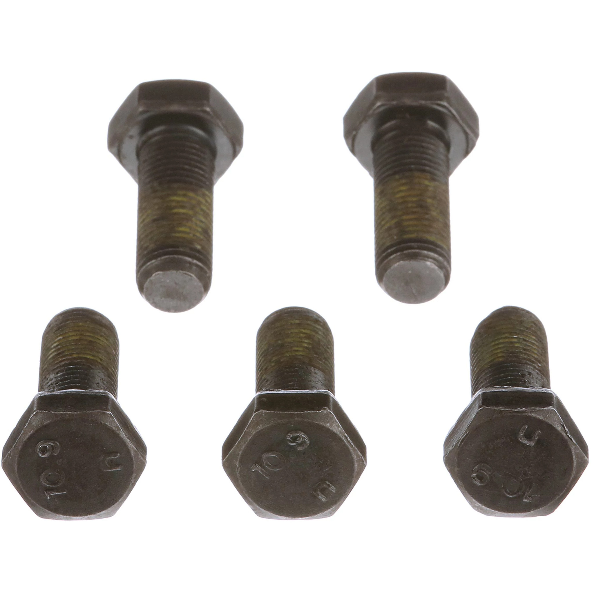 PARAFUSO | CASECE | EU | FR