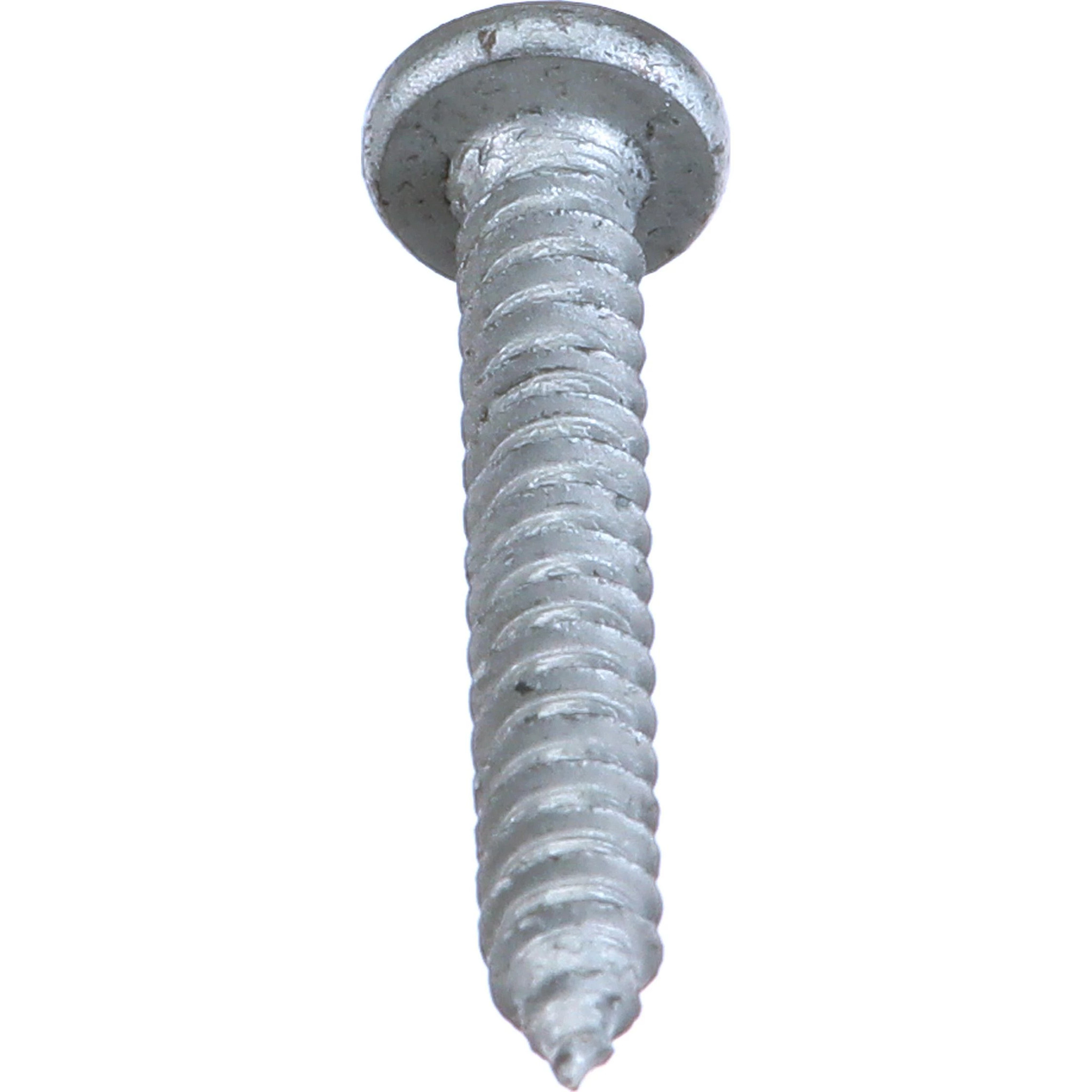 SELF-TAP SCREW | CASECE | CA | EN