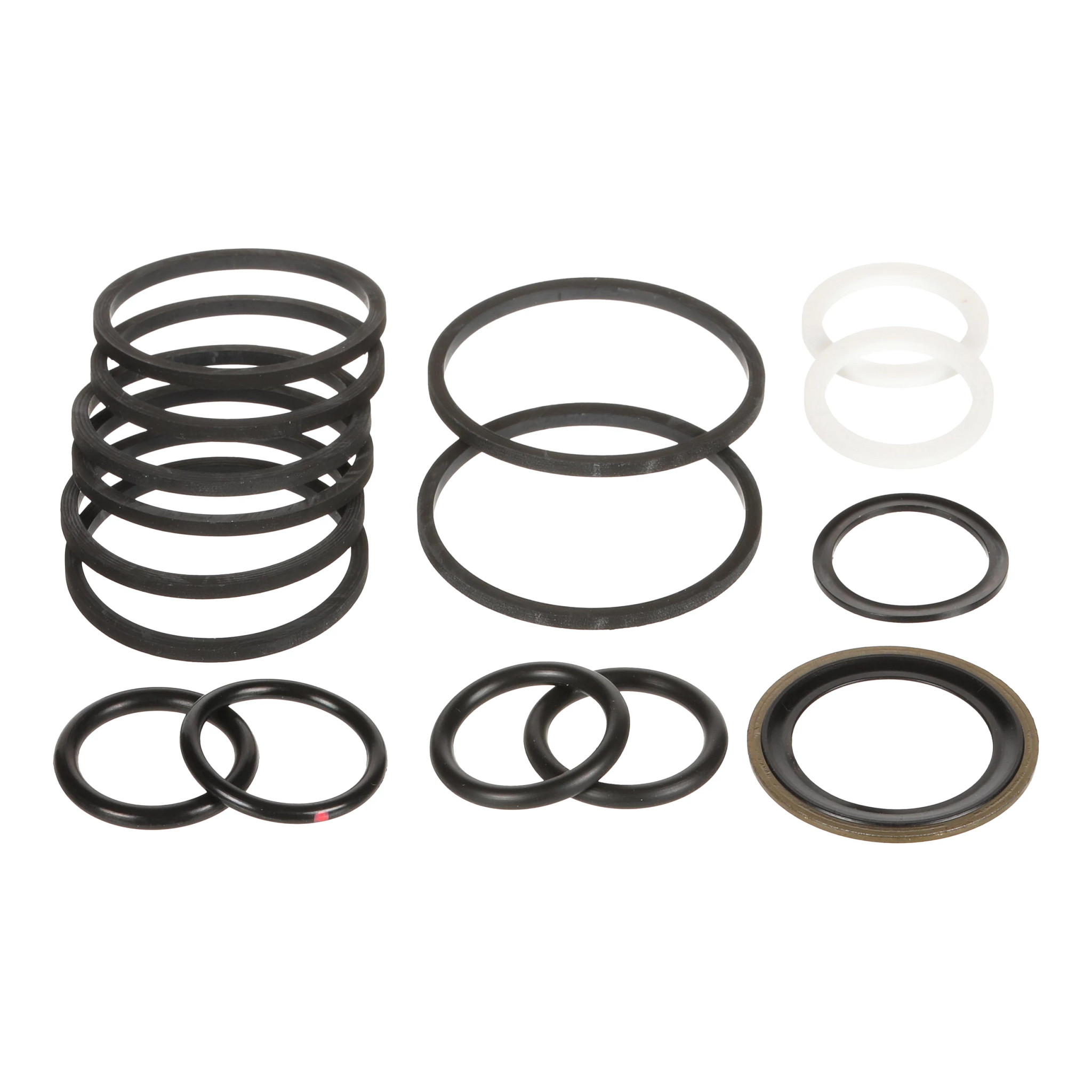 SEAL KIT | CASEIH | IE | EN