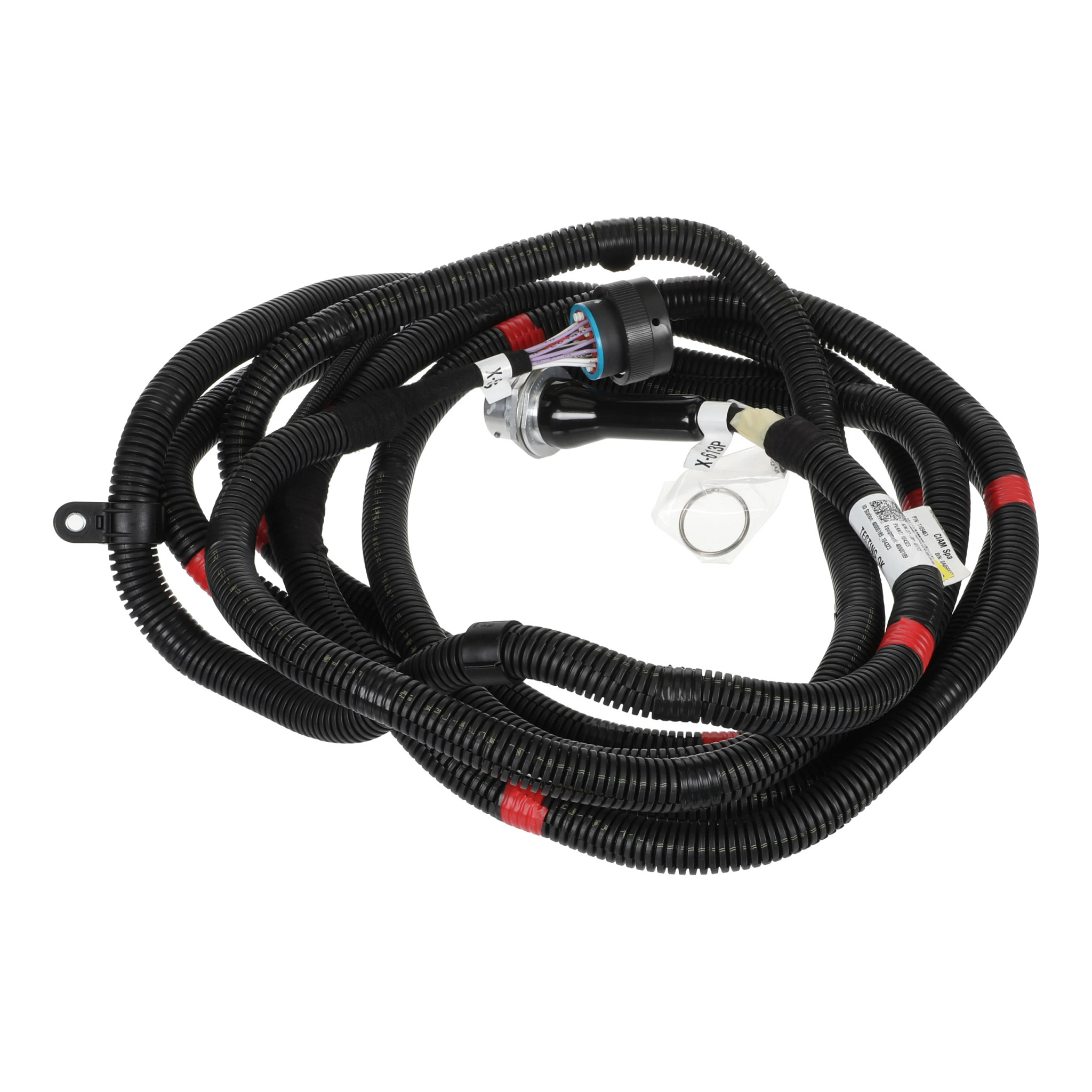 WIRE HARNESS | CASECE | AMEA | EN