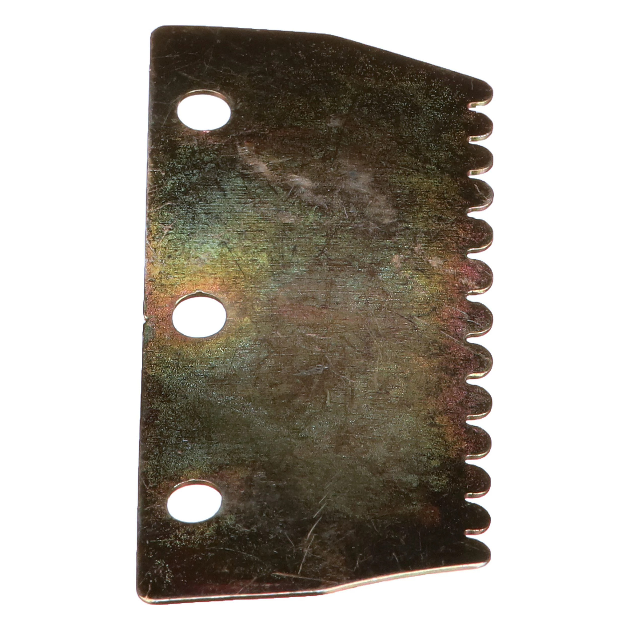 STRIP | CASECE | AMEA | EN