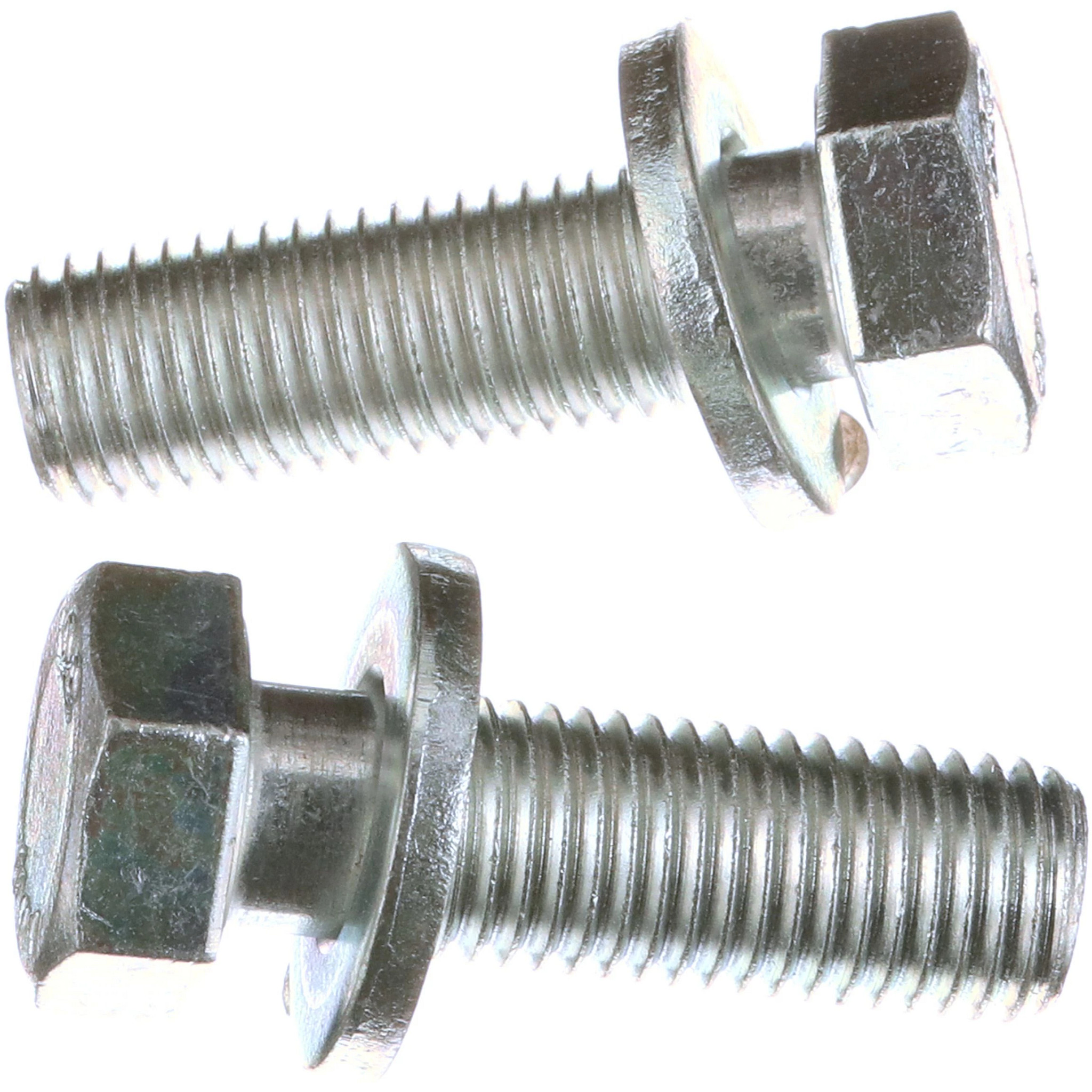 BOLT | CASECE | CA | EN