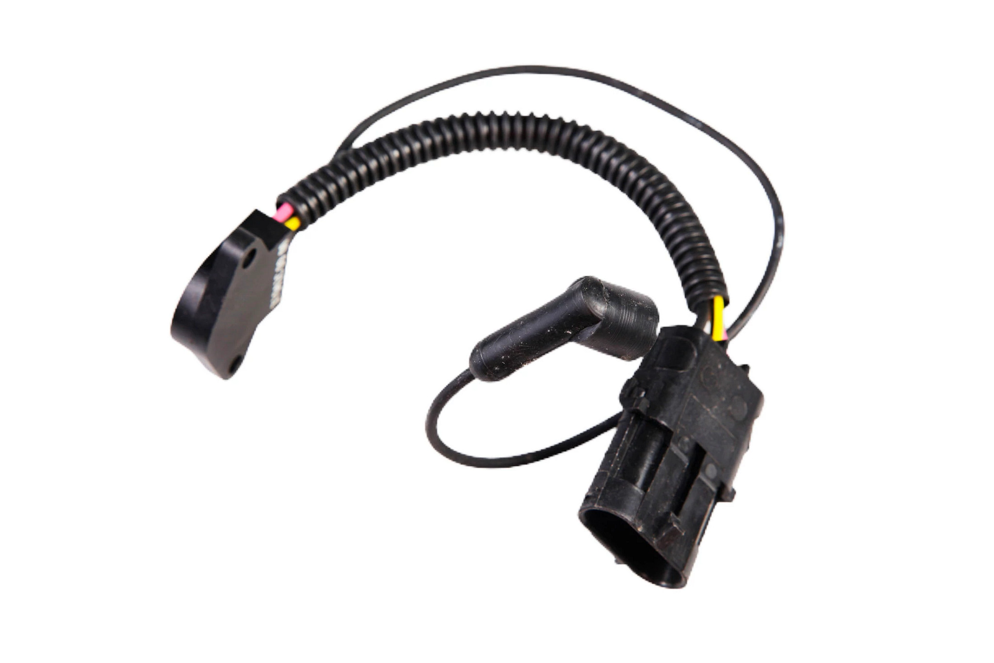 KIT | MILLER | ES | ES