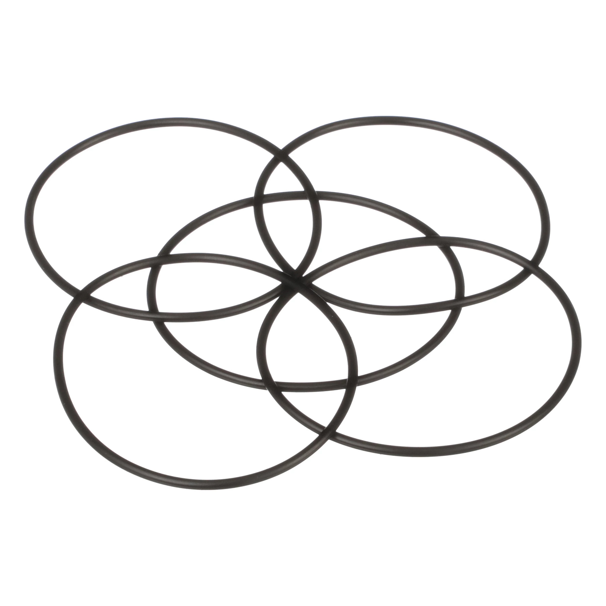 ANELLO TOROIDALE | NEWHOLLANDAG | EU | DE