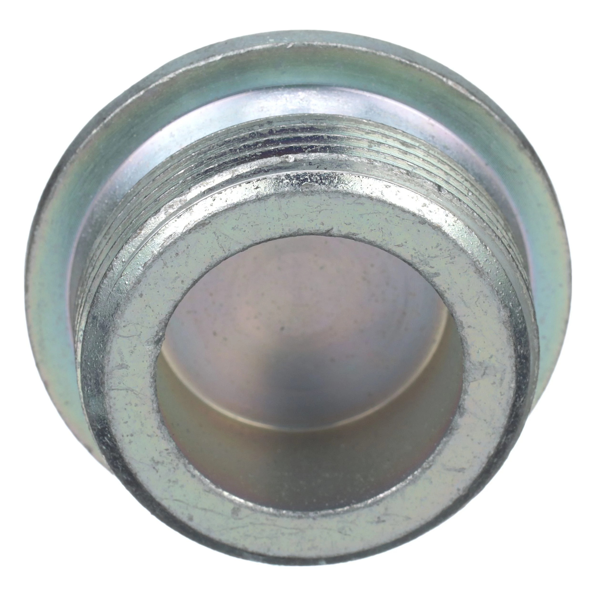 PLUG | CASECE | CA | EN