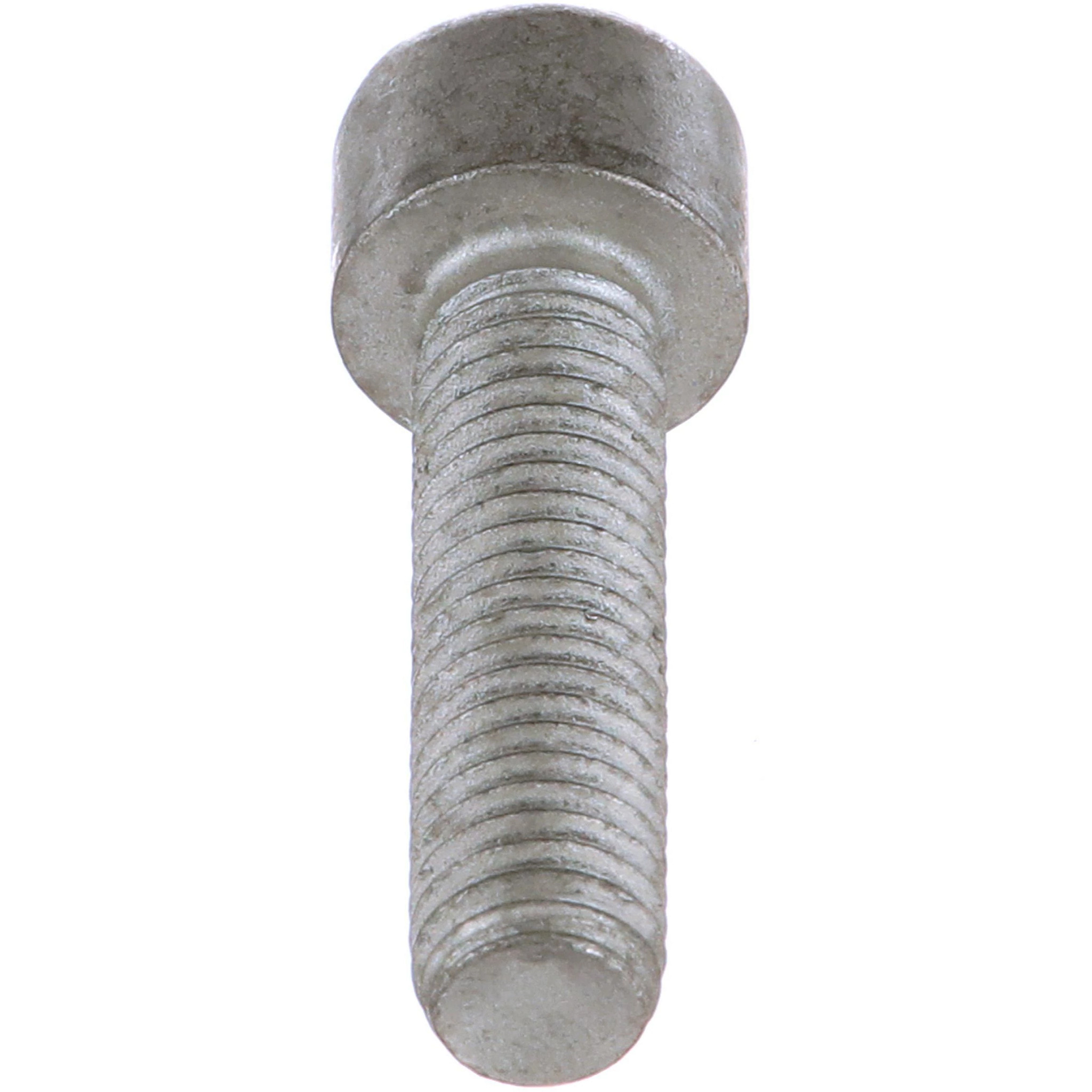 BOLT | CASECE | AMEA | EN