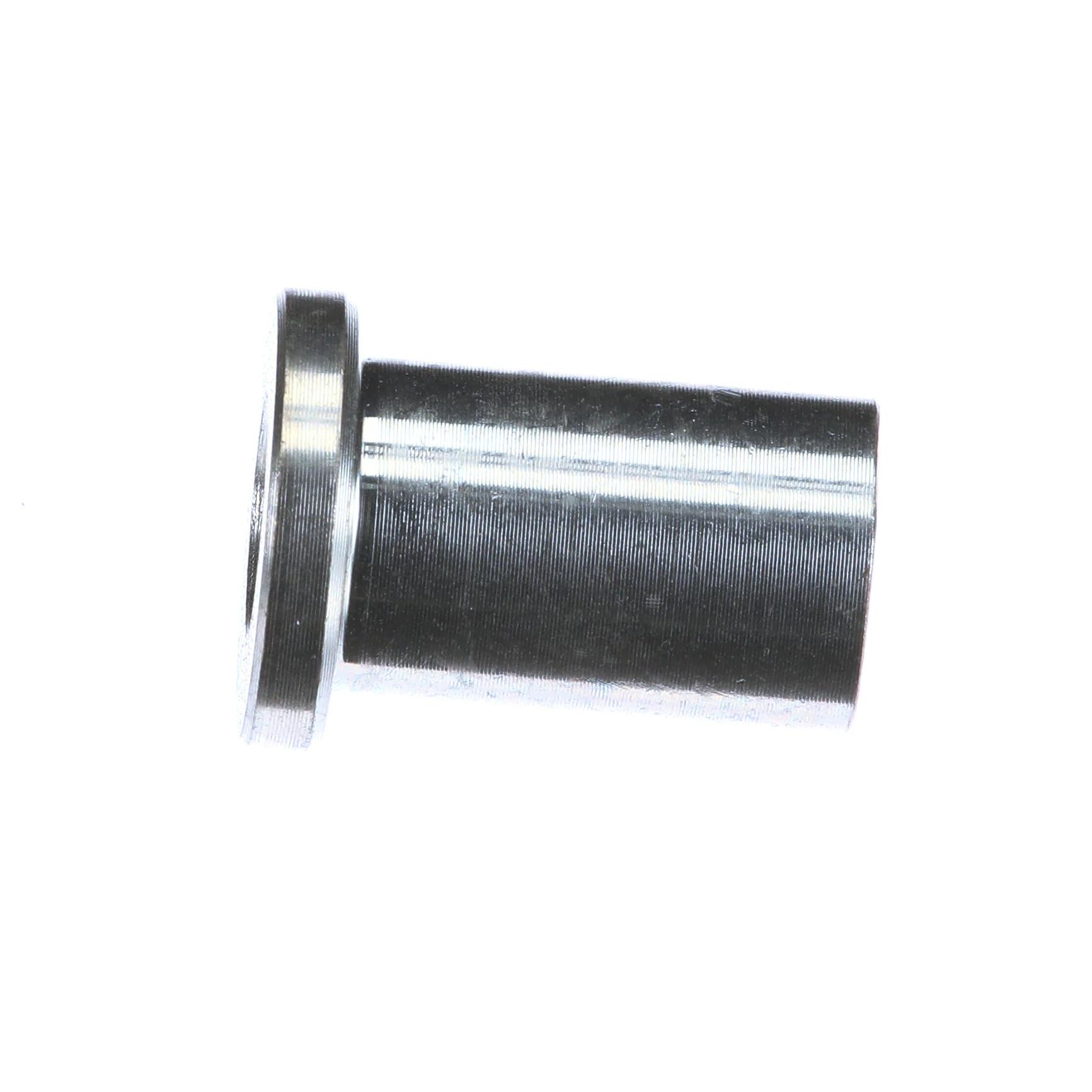 SLEEVE | CASECE | NZ | EN