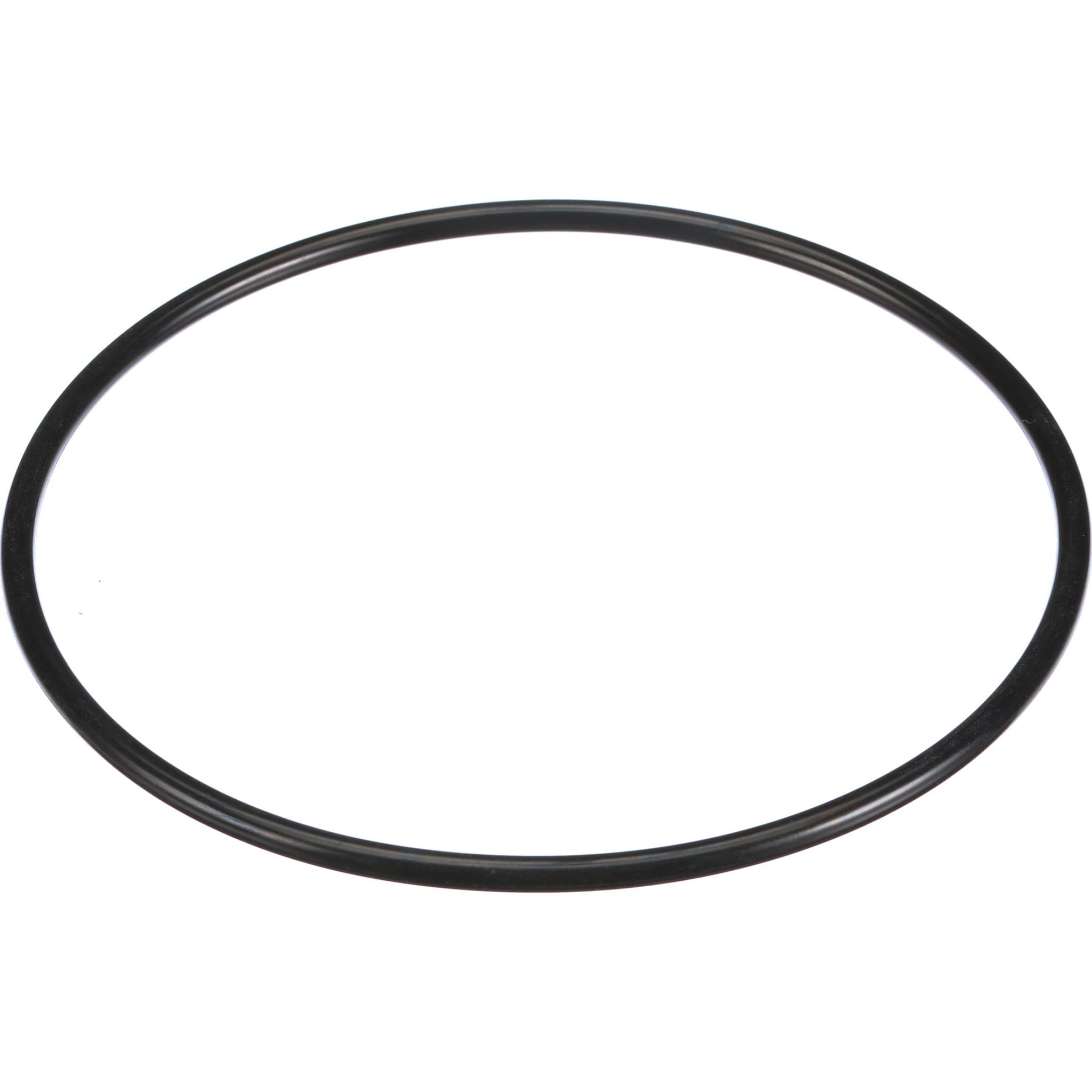 O-RING | CASEIH | US | EN