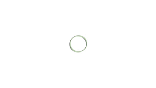 O-RING | CASEIH | EU | PL