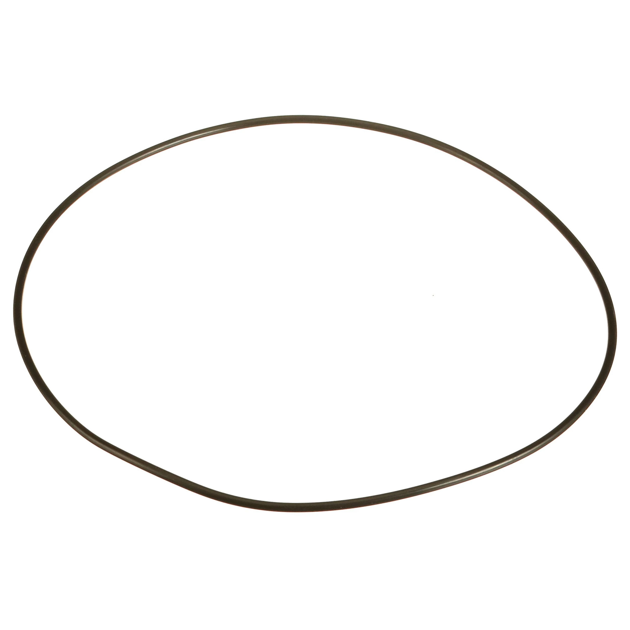 УПЛОТНИТЕЛЬНОЕ КОЛЬЦ | CASEIH | EU | RU