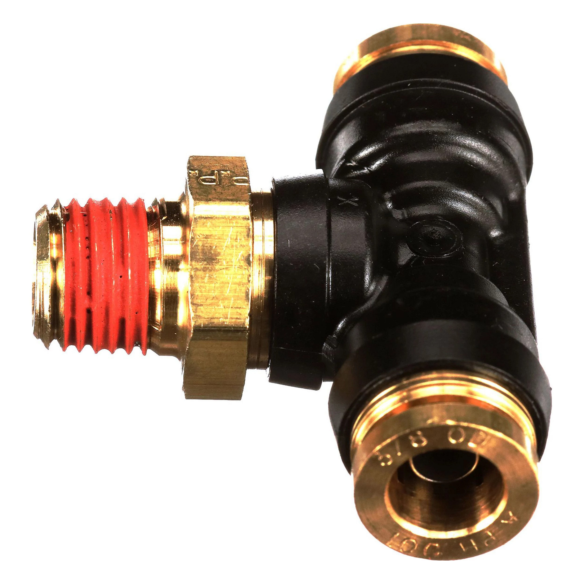 BRANCH TEE | CASECE | CA | EN