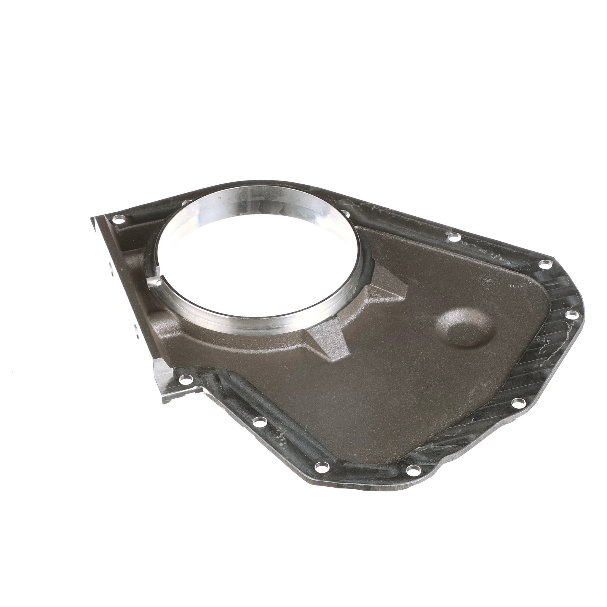 Placa de retenção do vedante de óleo traseiro da cambota - 315 mm C x 294 mm A x 29 mm L | CASECE | BR | PT