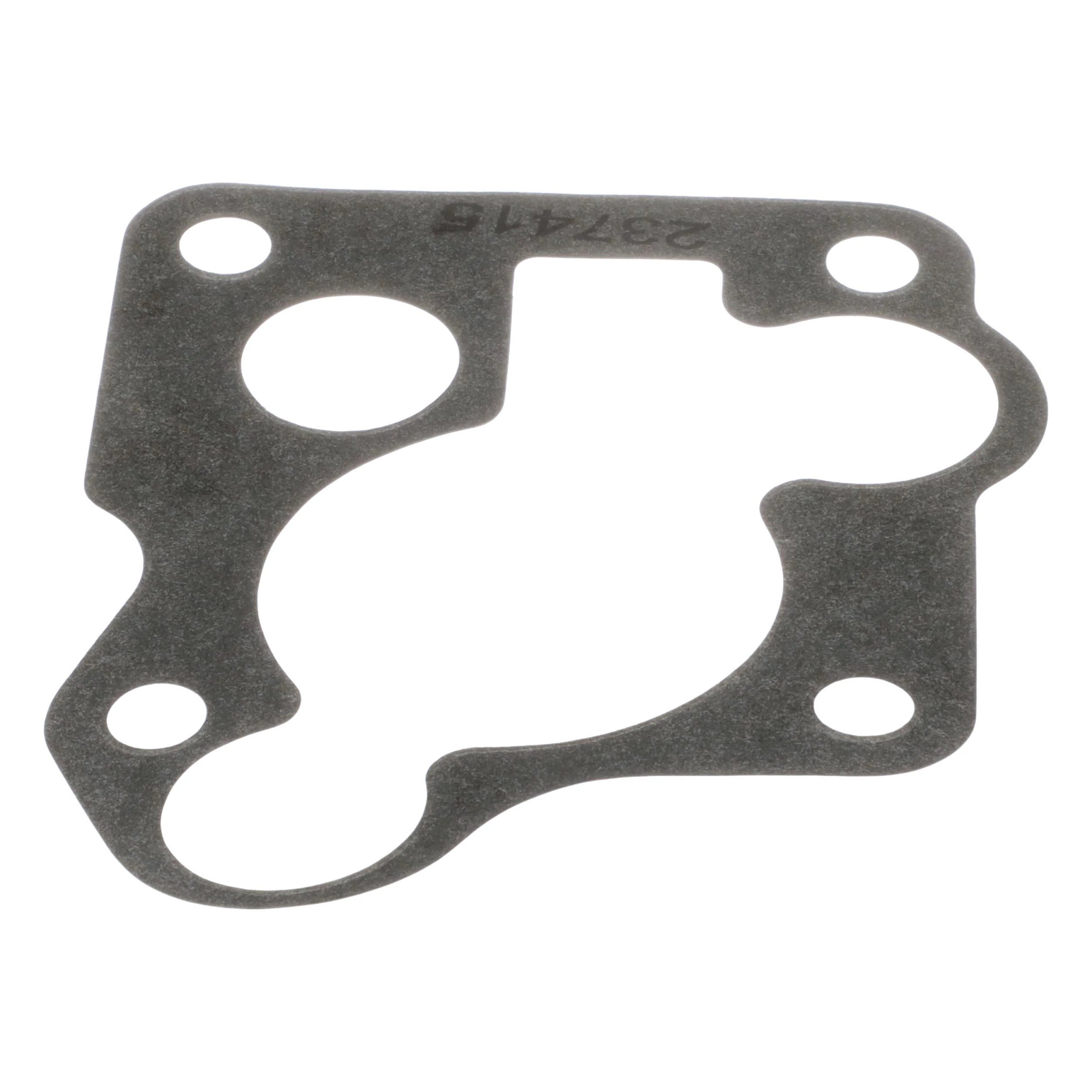 Engine Gasket
