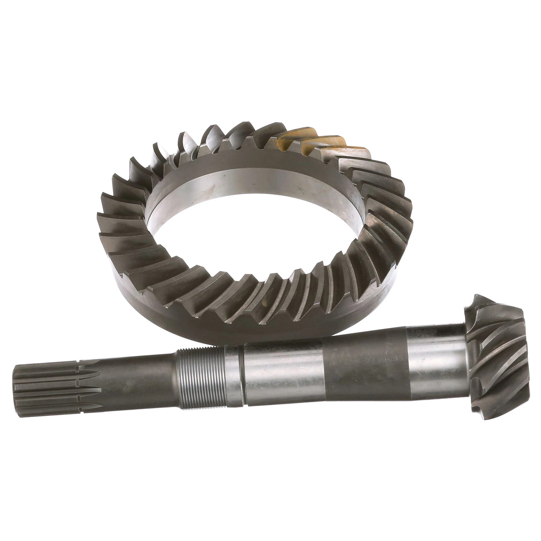 PIGNON CONIQUE | NEWHOLLANDAG | CA | FR