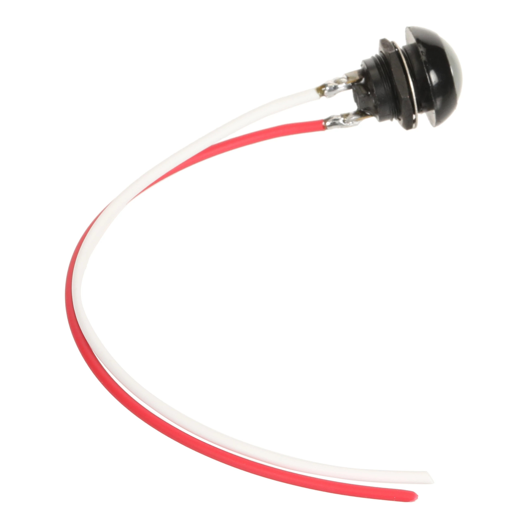 SWITCH | CASECE | US | EN