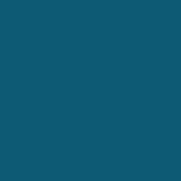 PAINT | CASECE | CA | EN
