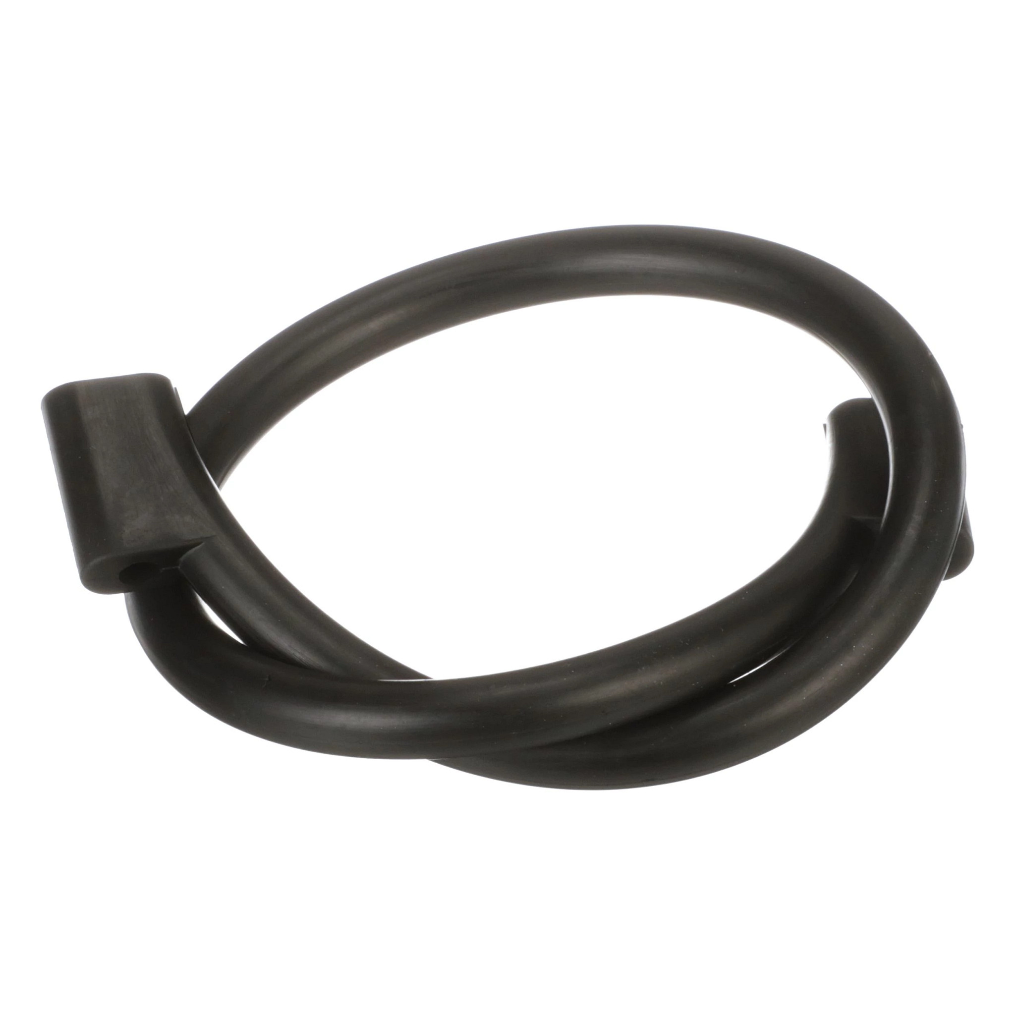 JUNTA TÓRICA | CASECE | EU | ES