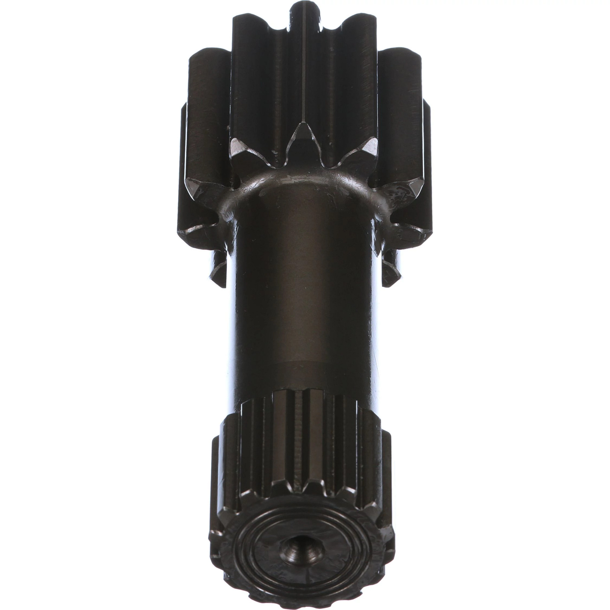 PIGNON SOLAIRE | CASECE | CA | FR